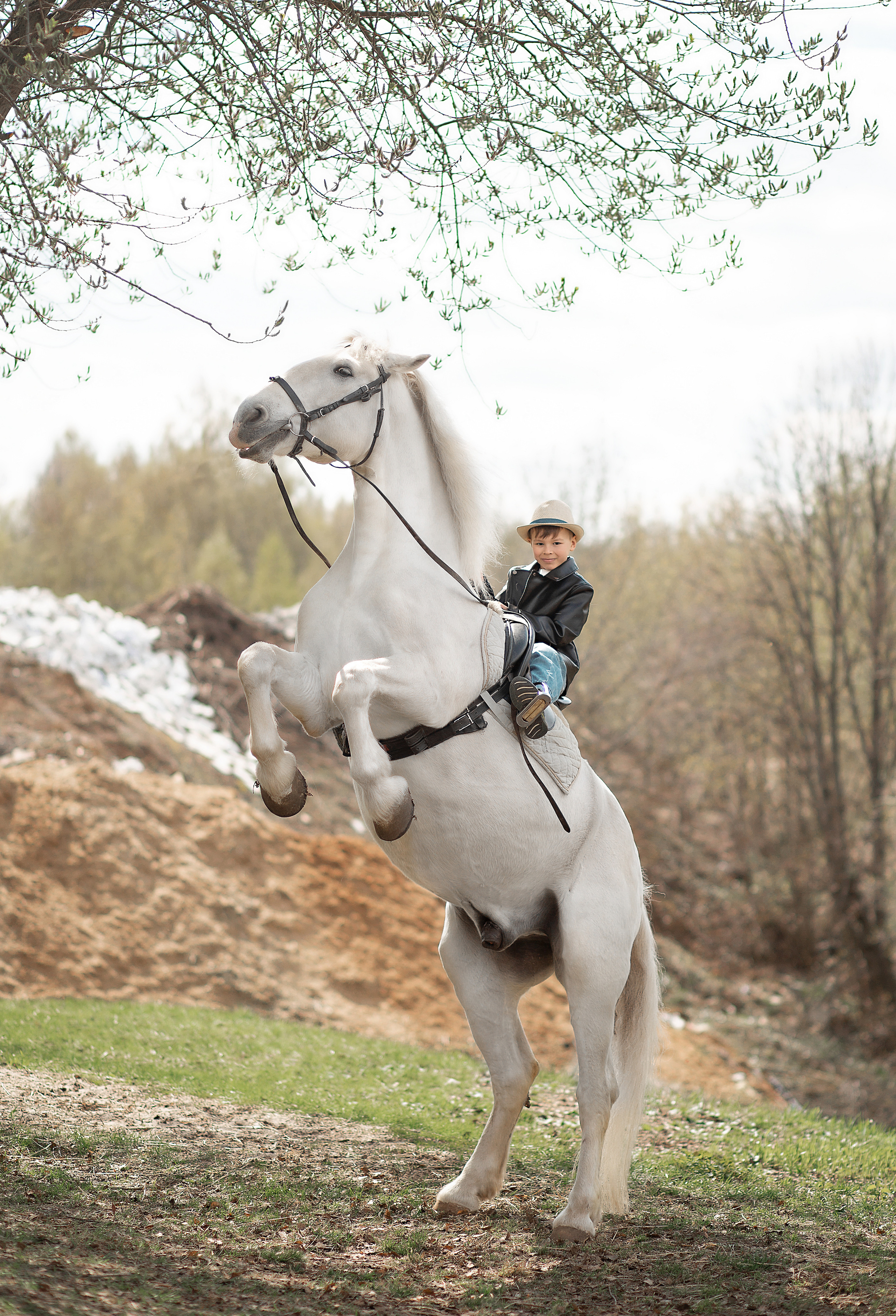 Елена и семья с Воробьем фотодень. Фотосессия с лошадьми в Нижнем Новгороде