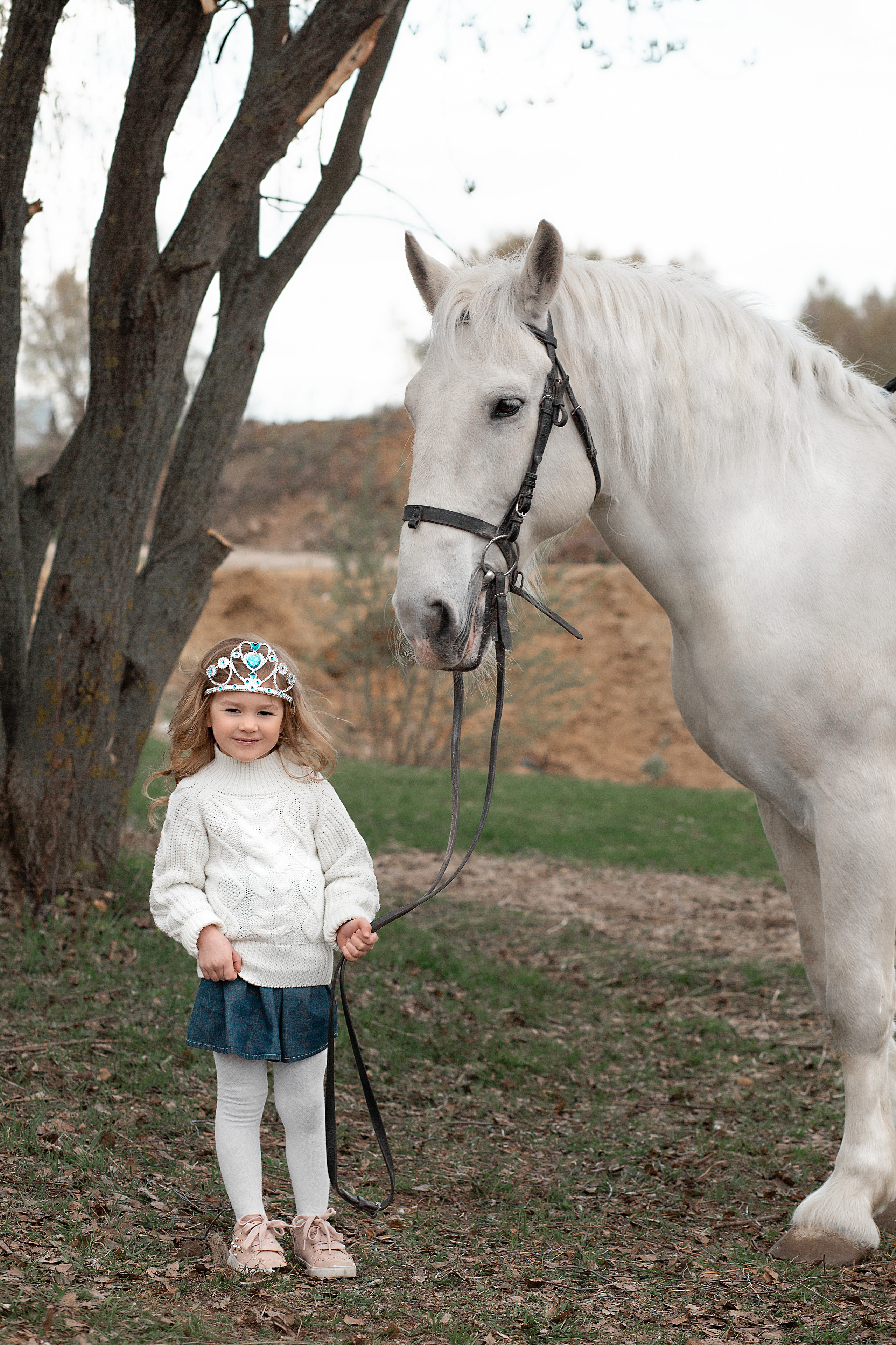 Елена и семья с Воробьем фотодень. Фотосессия с лошадьми в Нижнем Новгороде