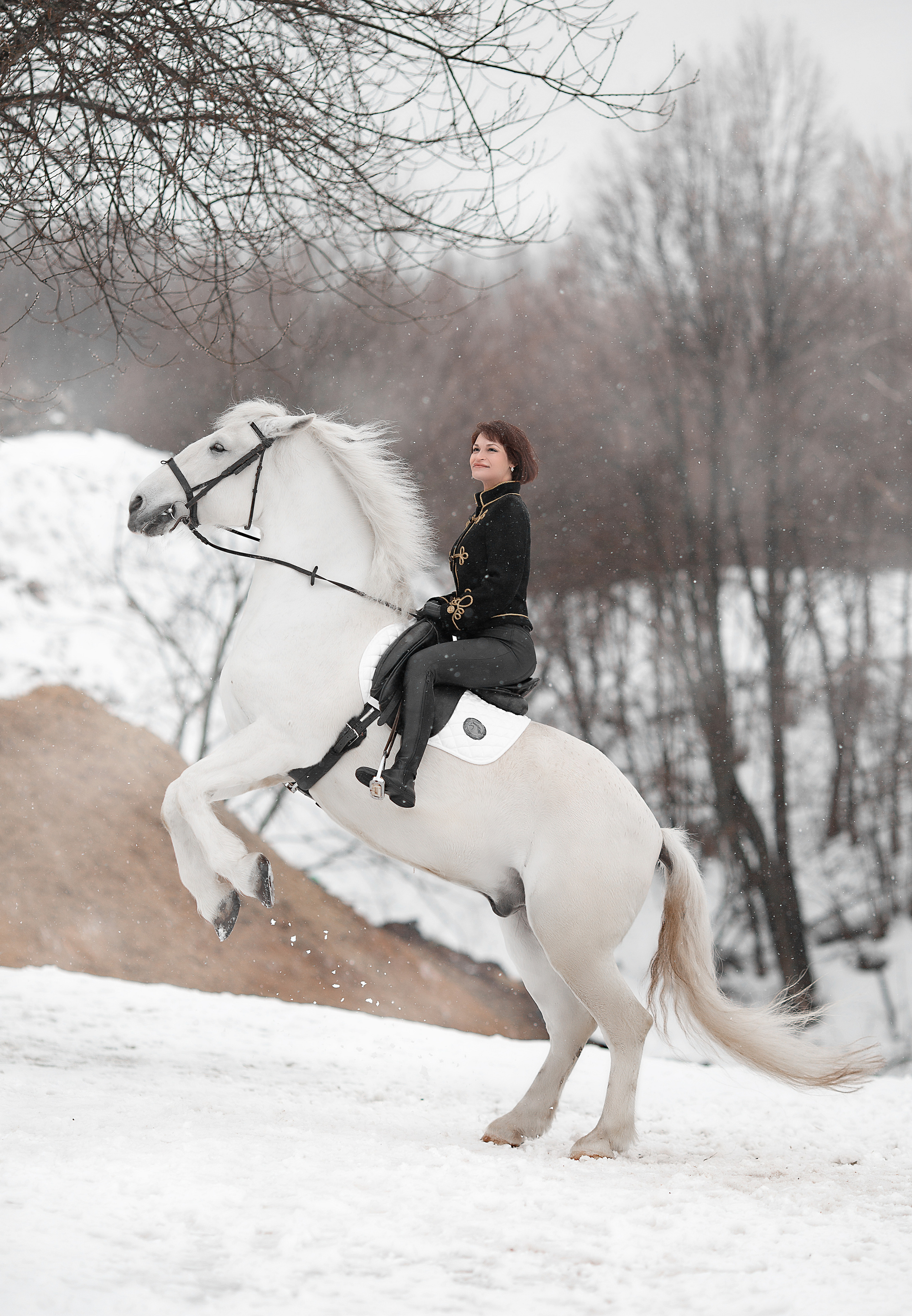 Светлана, Оксана, Жасмин и Воробушек. Фотосессия с лошадьми в Нижнем Новгороде
