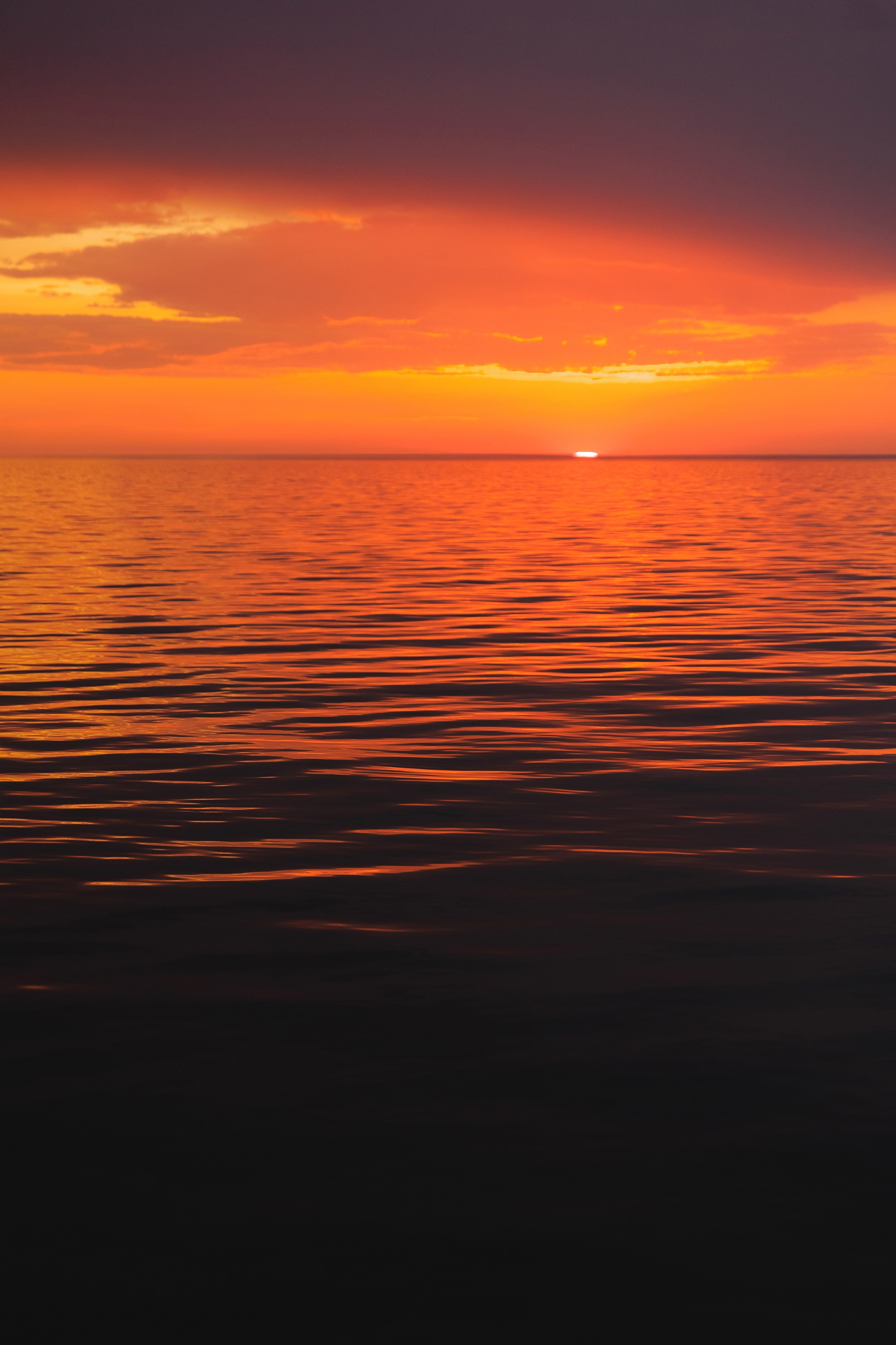 Destined to Meet: Sky & Sea. Свадебный и репортажный фотограф Калининград