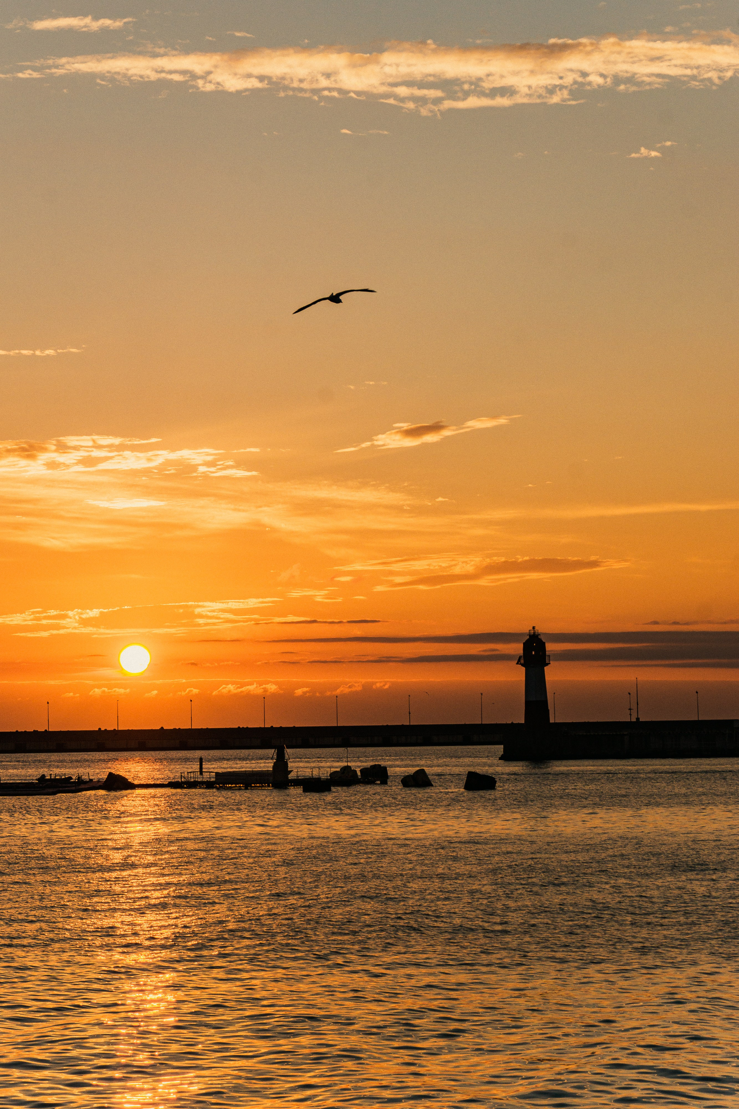 Фотографии Сочи, глазами гида-фотографа. Фотограф в Сочи Елена Лисотина. Фототуры в Сочи