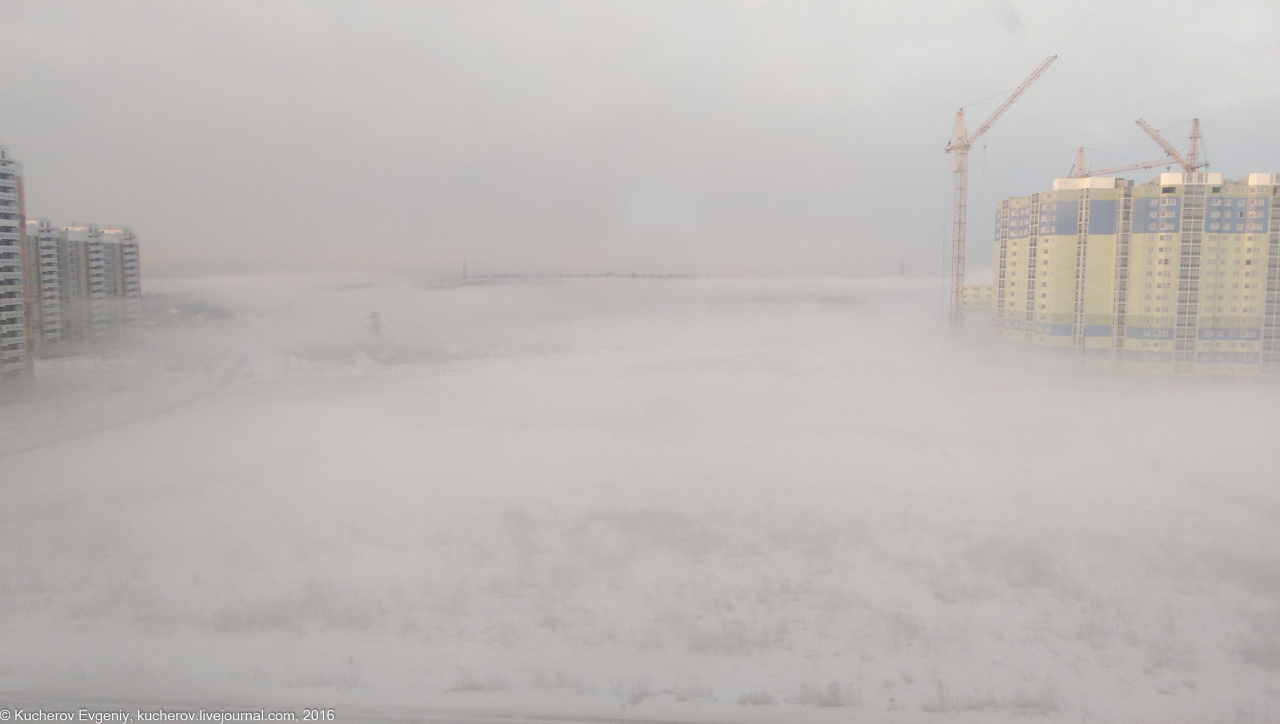Туман. Кучеров Евгений. Фотограф