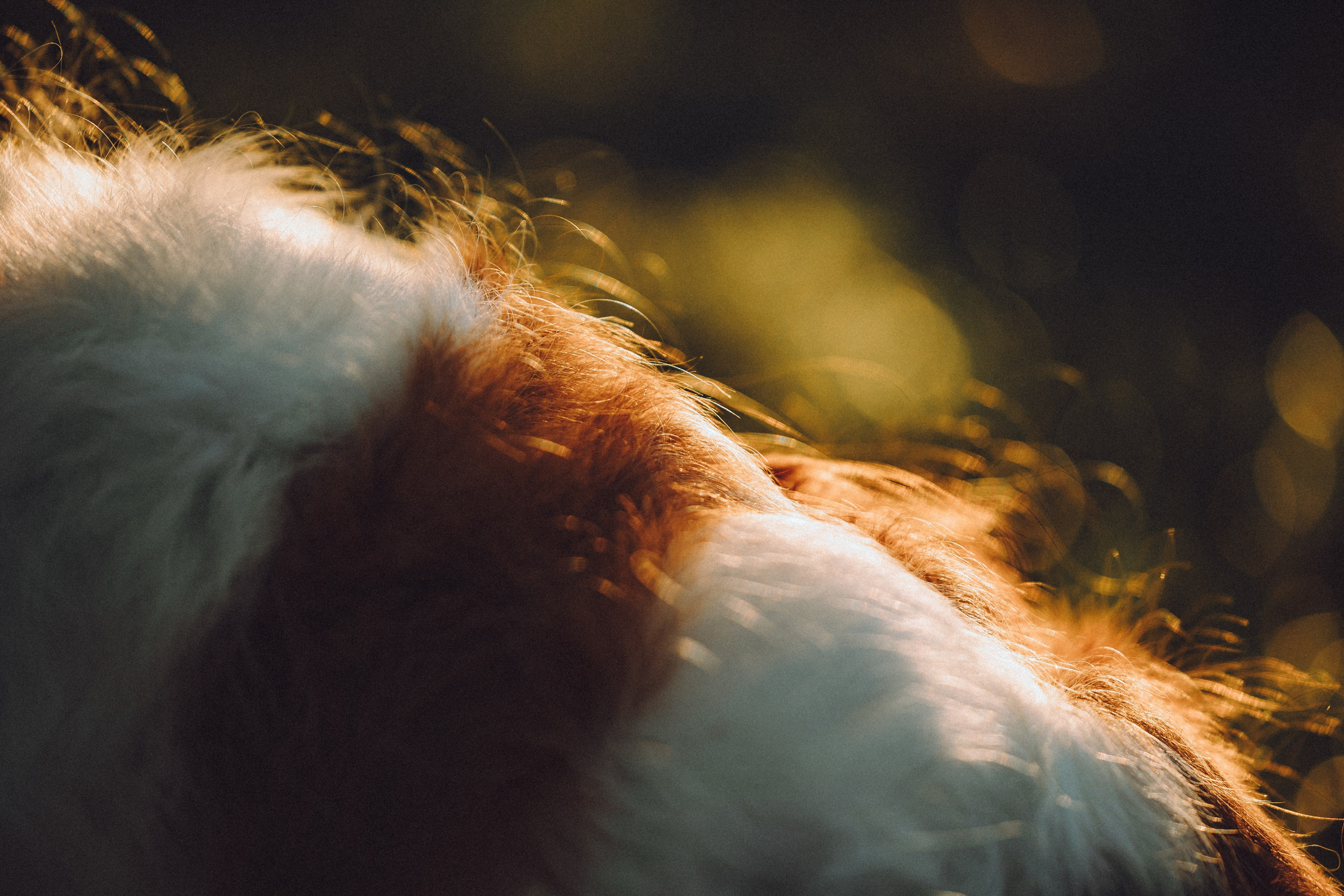 Наташа и Вики