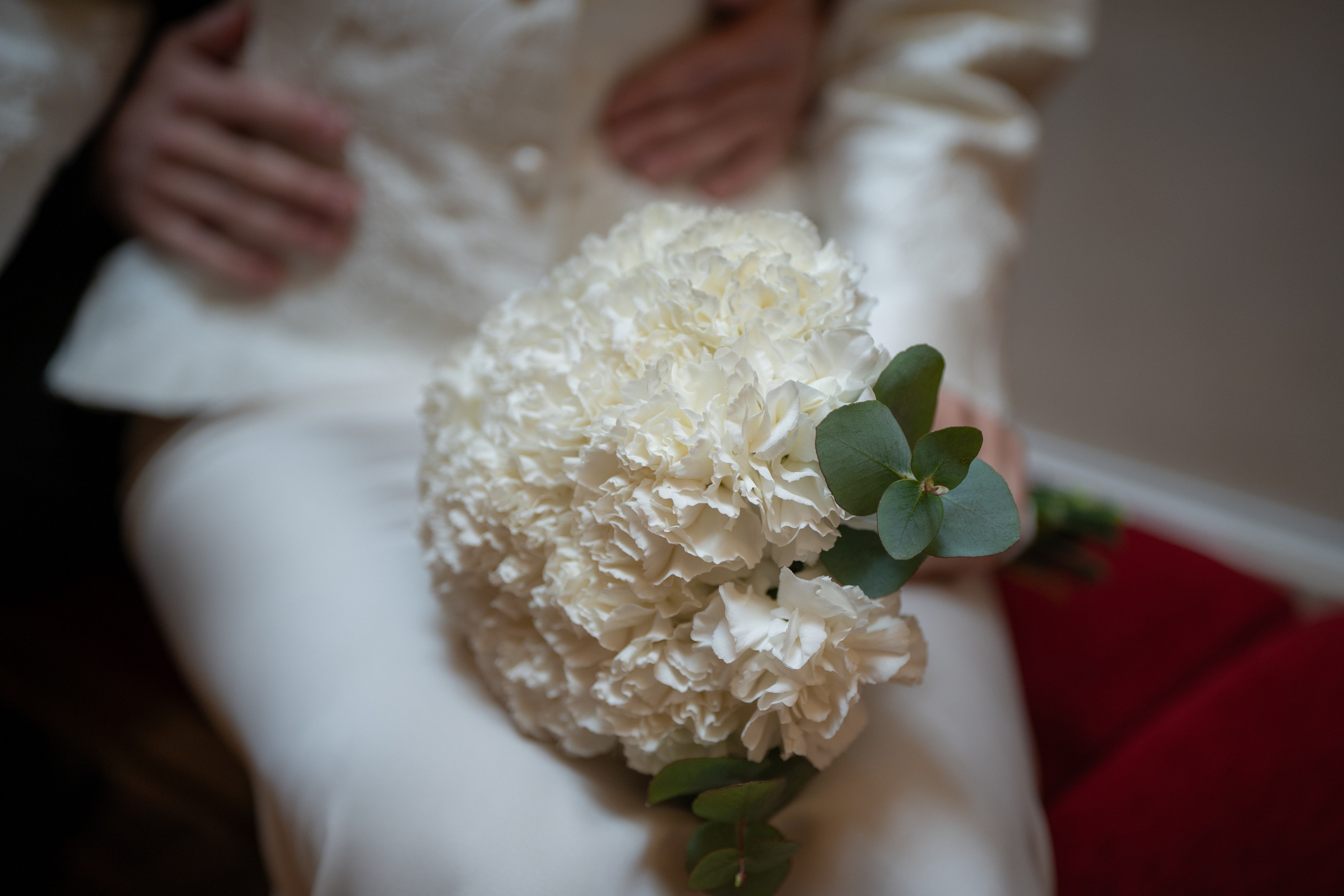 Свадебная фотосессия в Апреле в Петербурге. Свадебный фотограф Александр Невский в Санкт-Петербурге