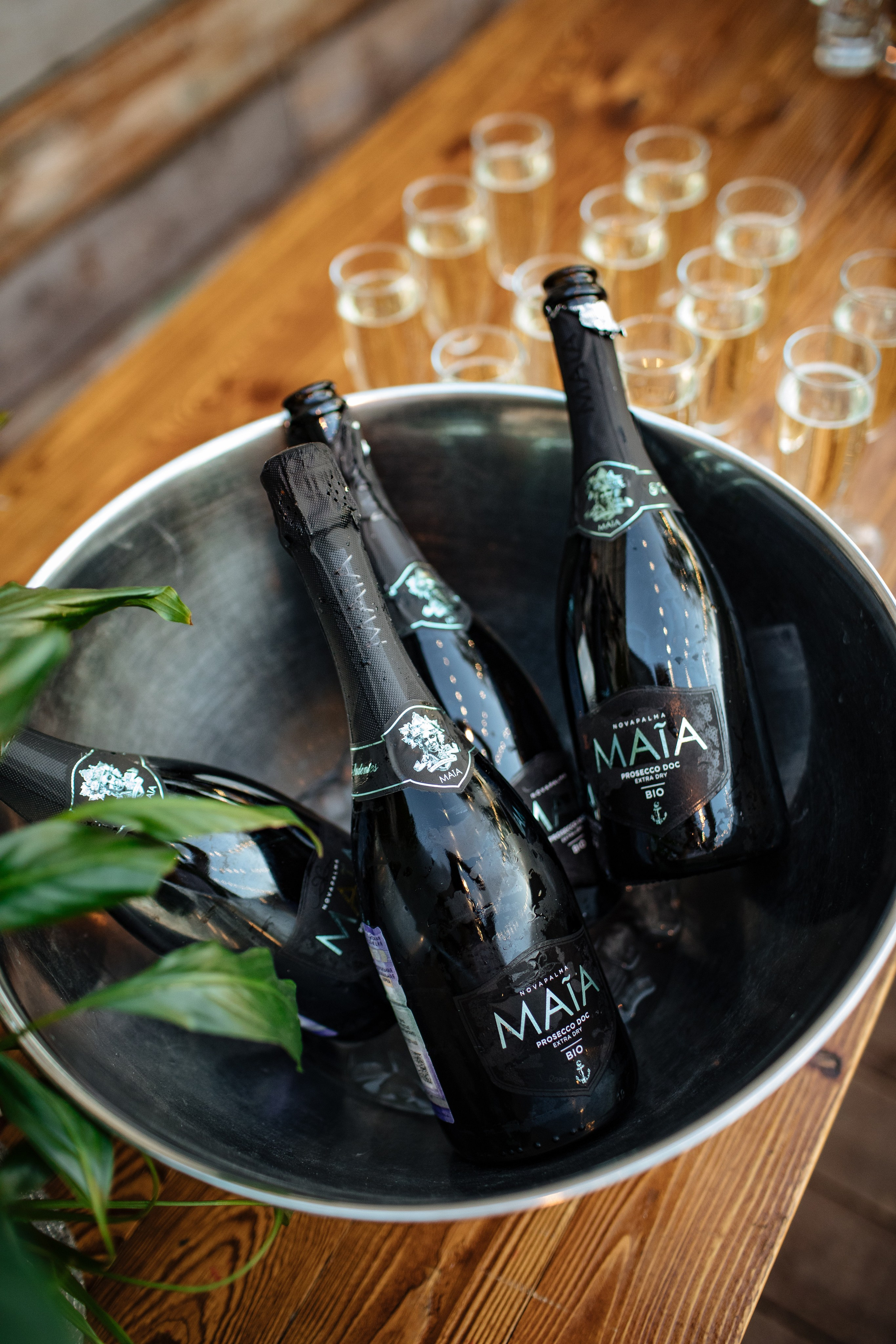 Эвент. Baranowsky_wed