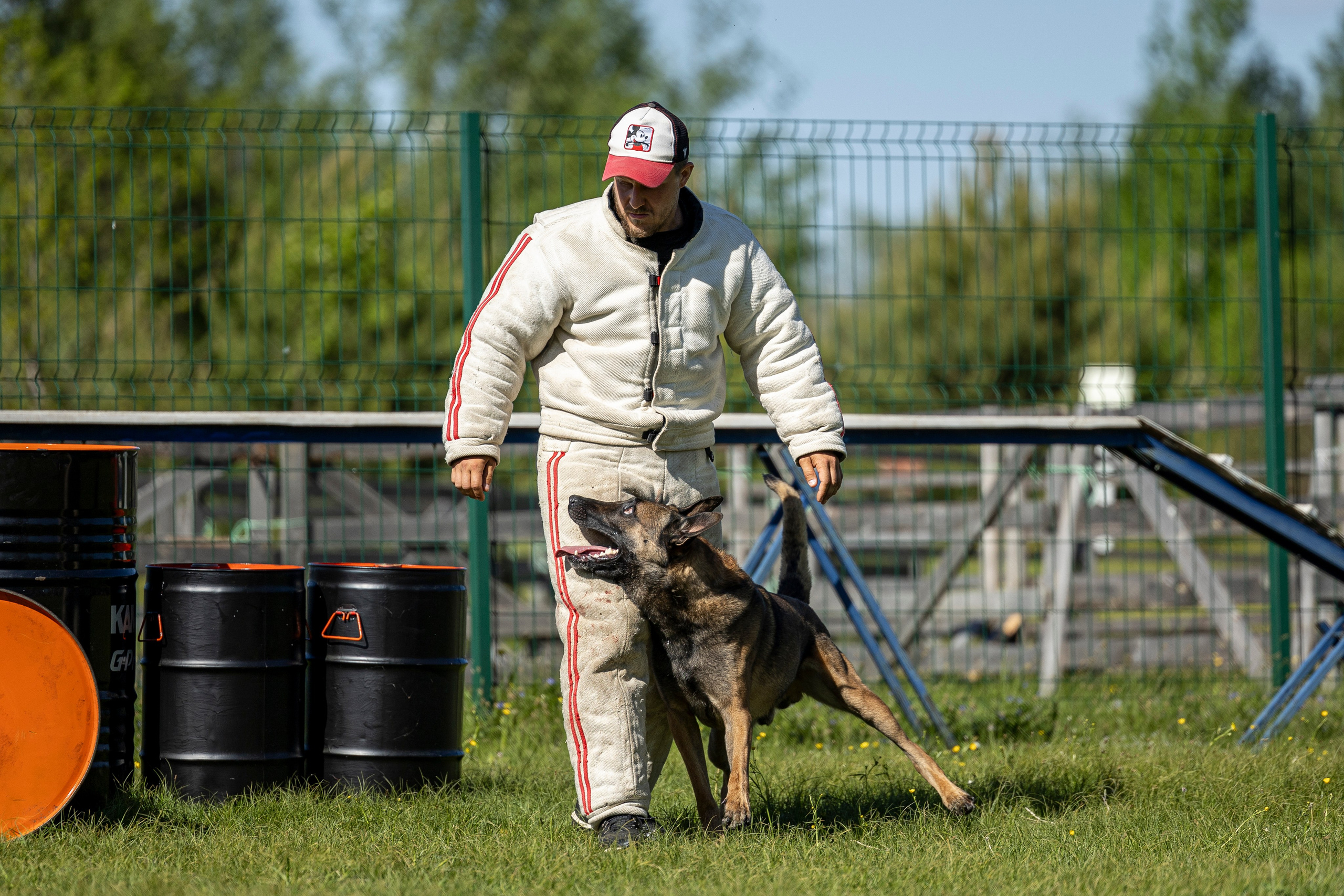 Испытания по мондьорингу в Нижнем Новгороде. Фотограф-анималист Анна Маринич