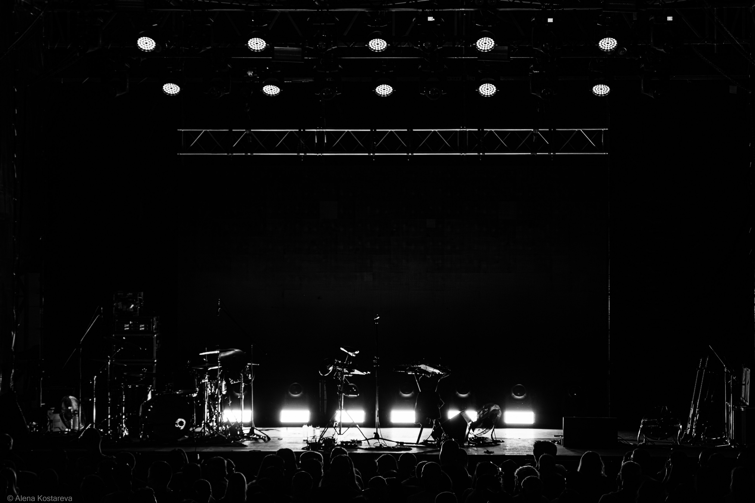 Dolphin. Алена Костарева. Фотограф в Ростове-на-Дону