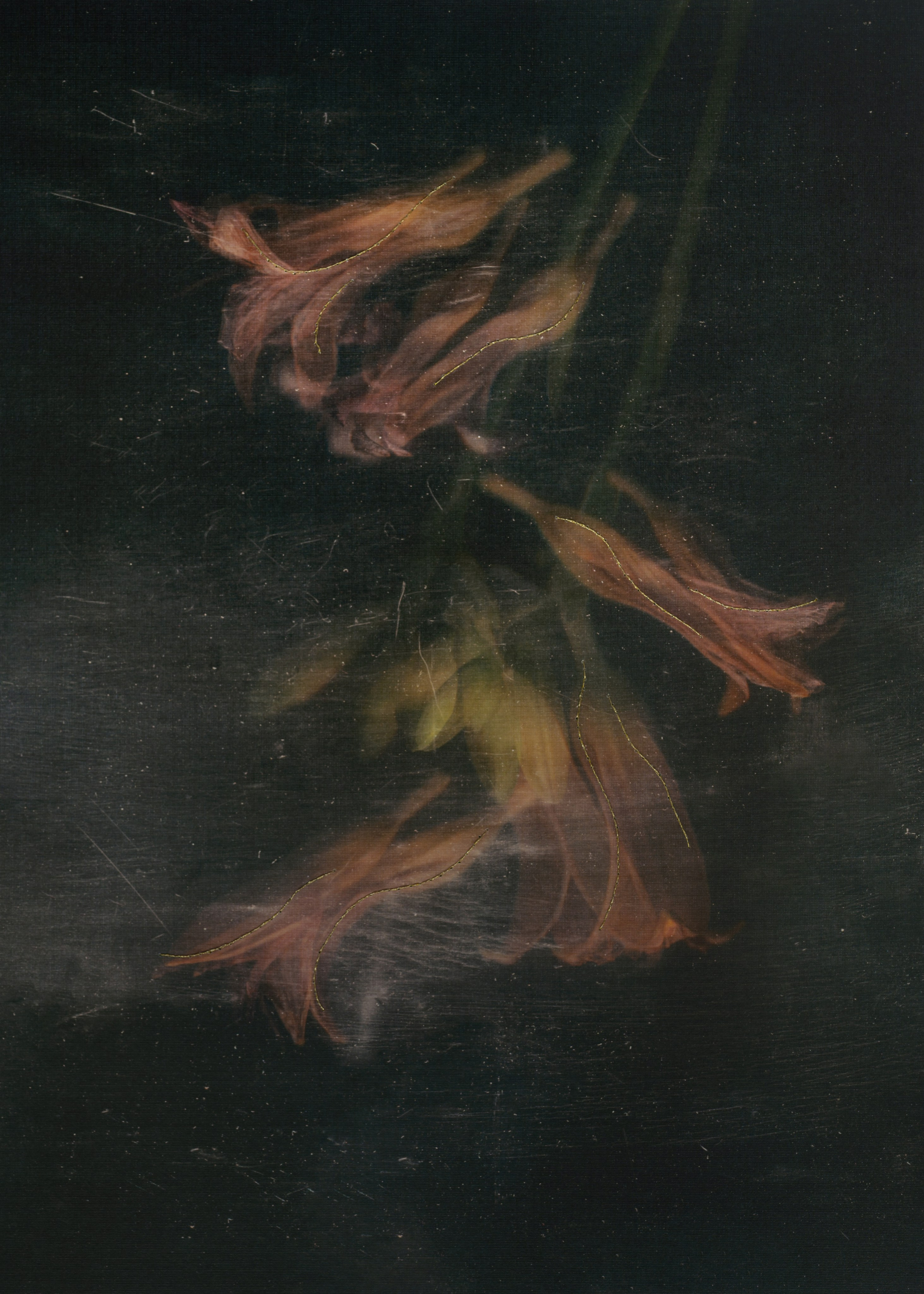 Призрачные узоры. Фотограф Елена Хазина, Рязань