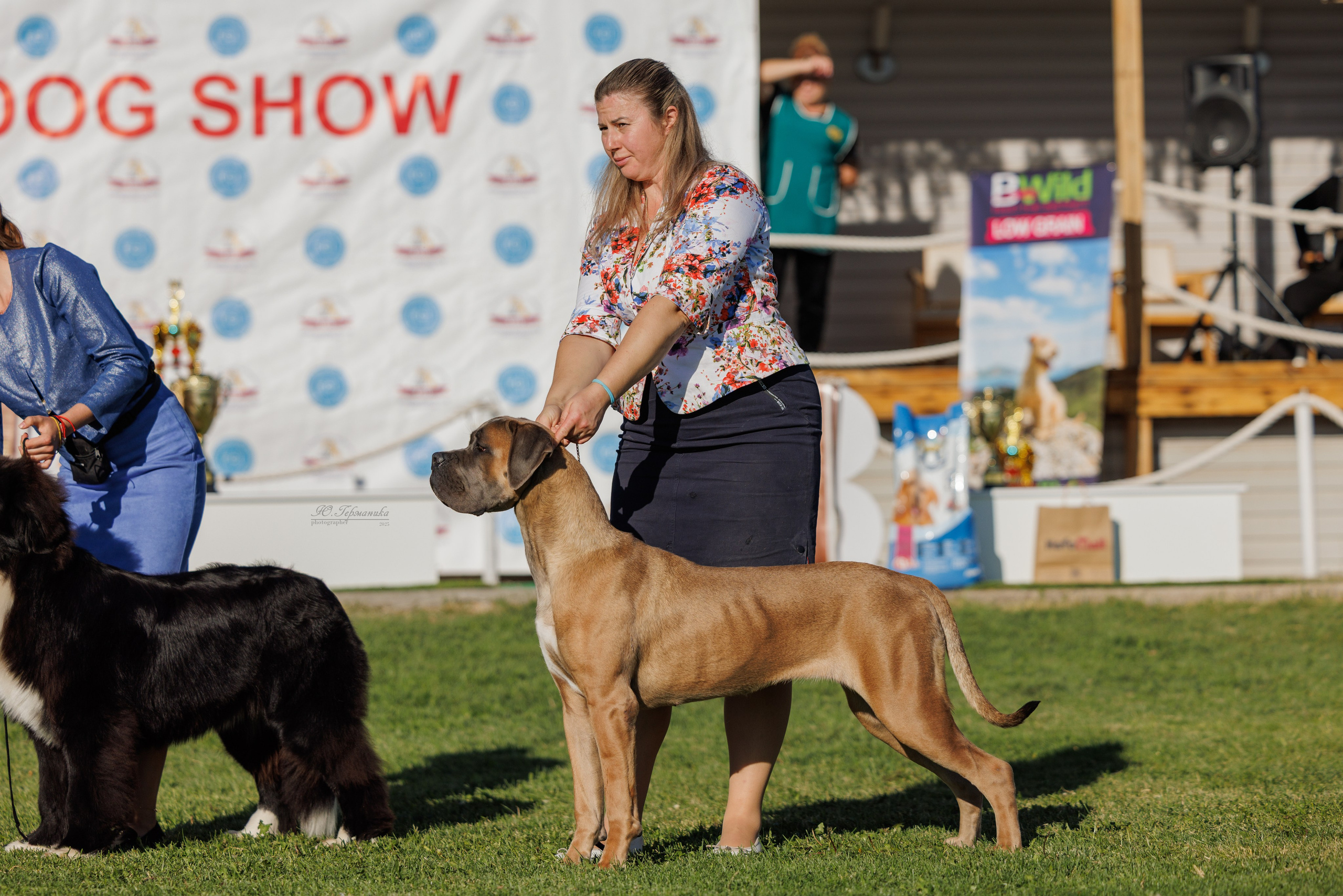 Ереван 14-16.10.2025. Фотограф-анималист Юлия Германика