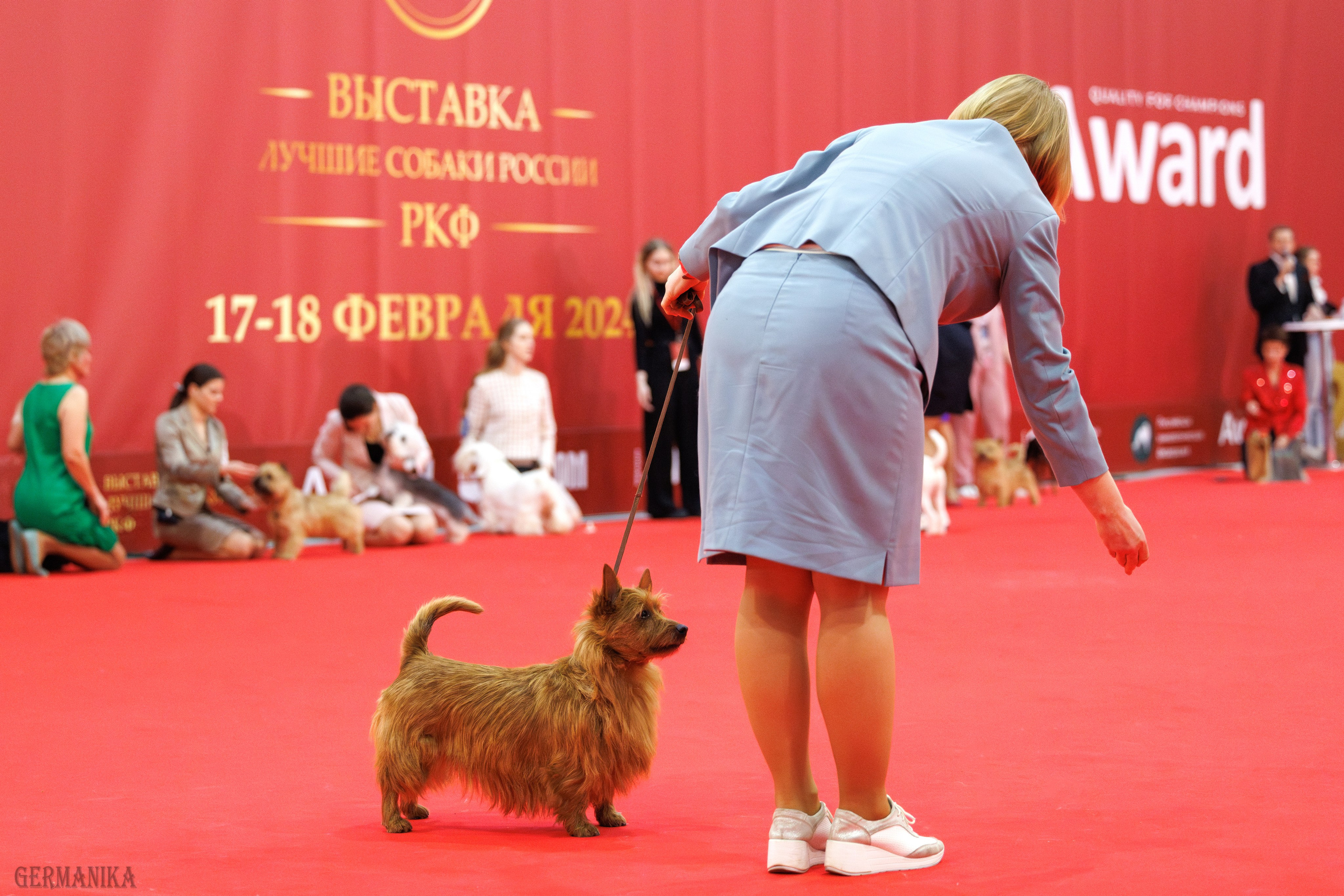 Лучшие Собаки России 17-18.02.2024. Фотограф-анималист Юлия Германика