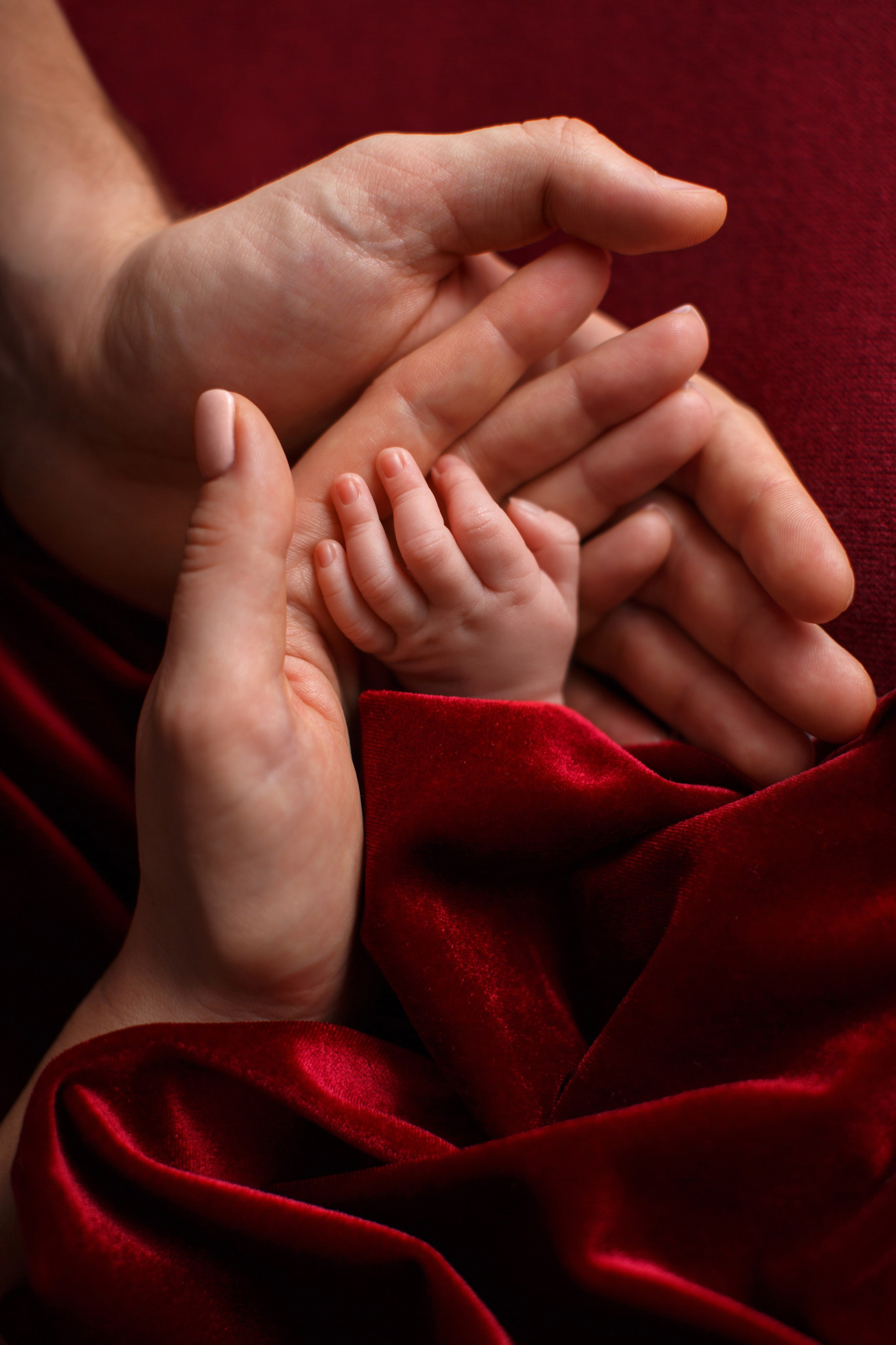 Bordo. Фотограф новорожденных, семейный фотограф в Санкт-Петербурге