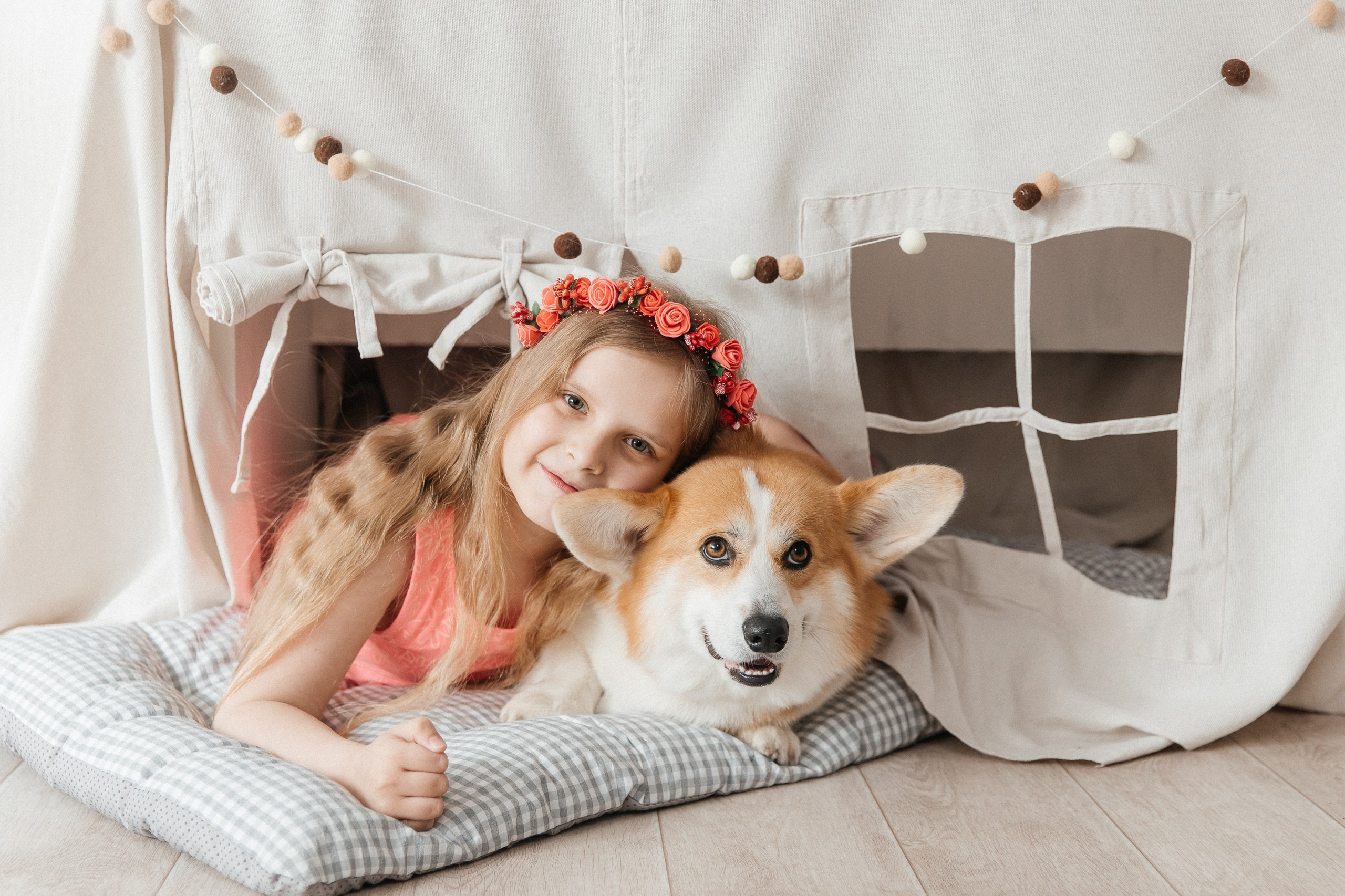 Фотопроект с корги🐶