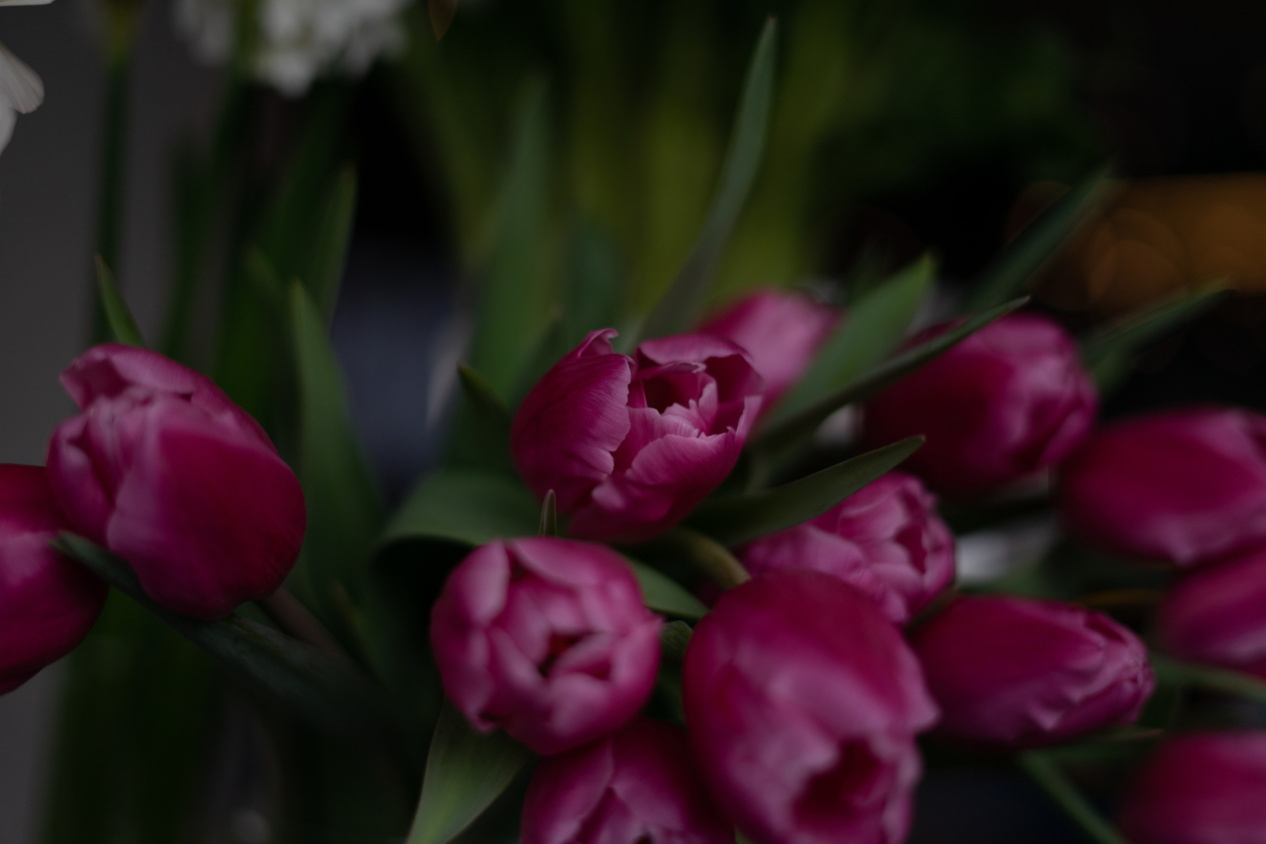 MC from a florist. Портретный и семейный фотограф в Мариуполе, РФ. Даша Жогло