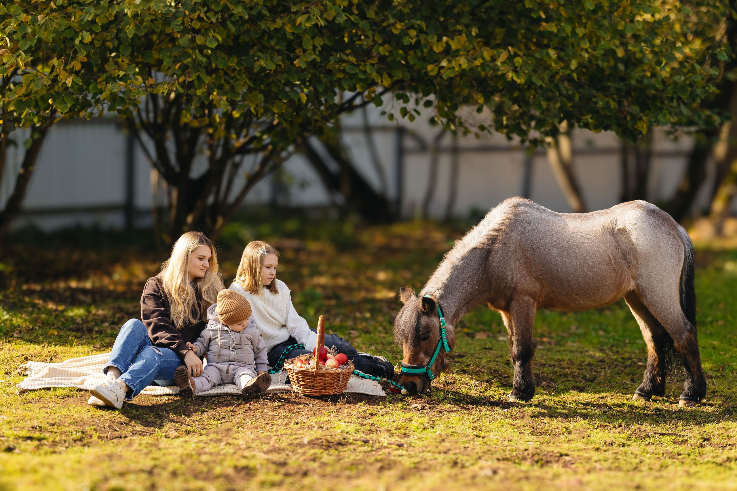 2024.10.02 Илья и лошадка. Ирина Бешляга. Фотограф в Москве и по всей России