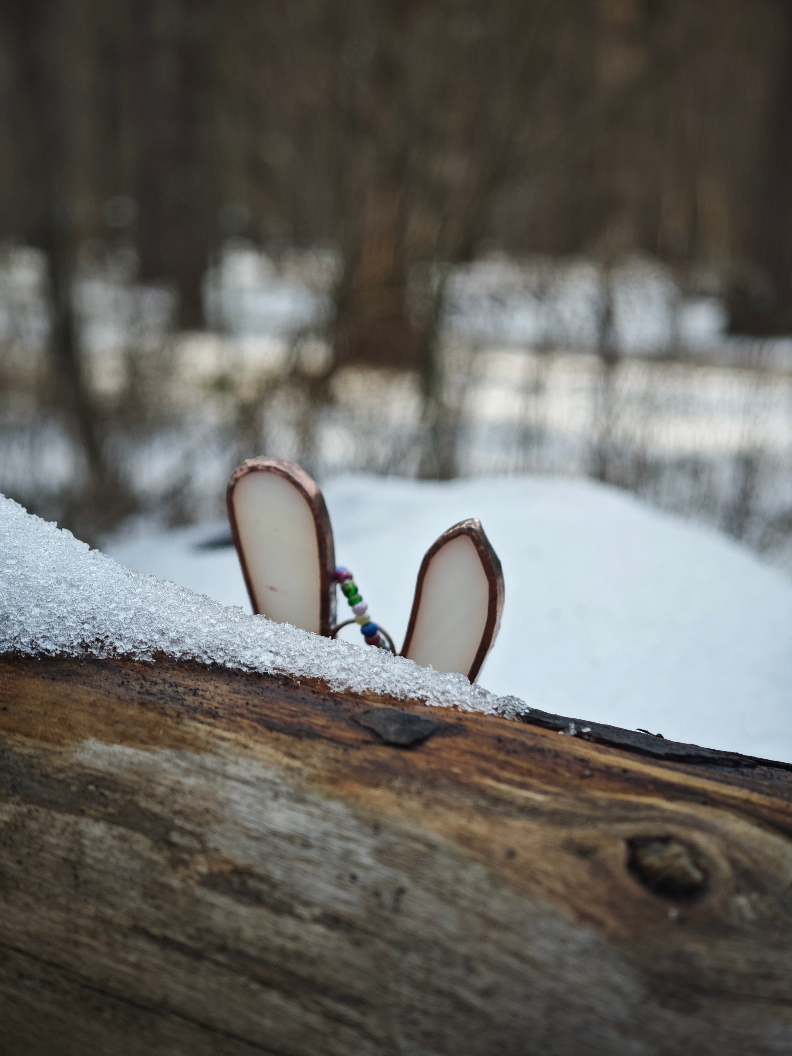 Анималистика. Официальный сайт художника Перепеченовой Анны