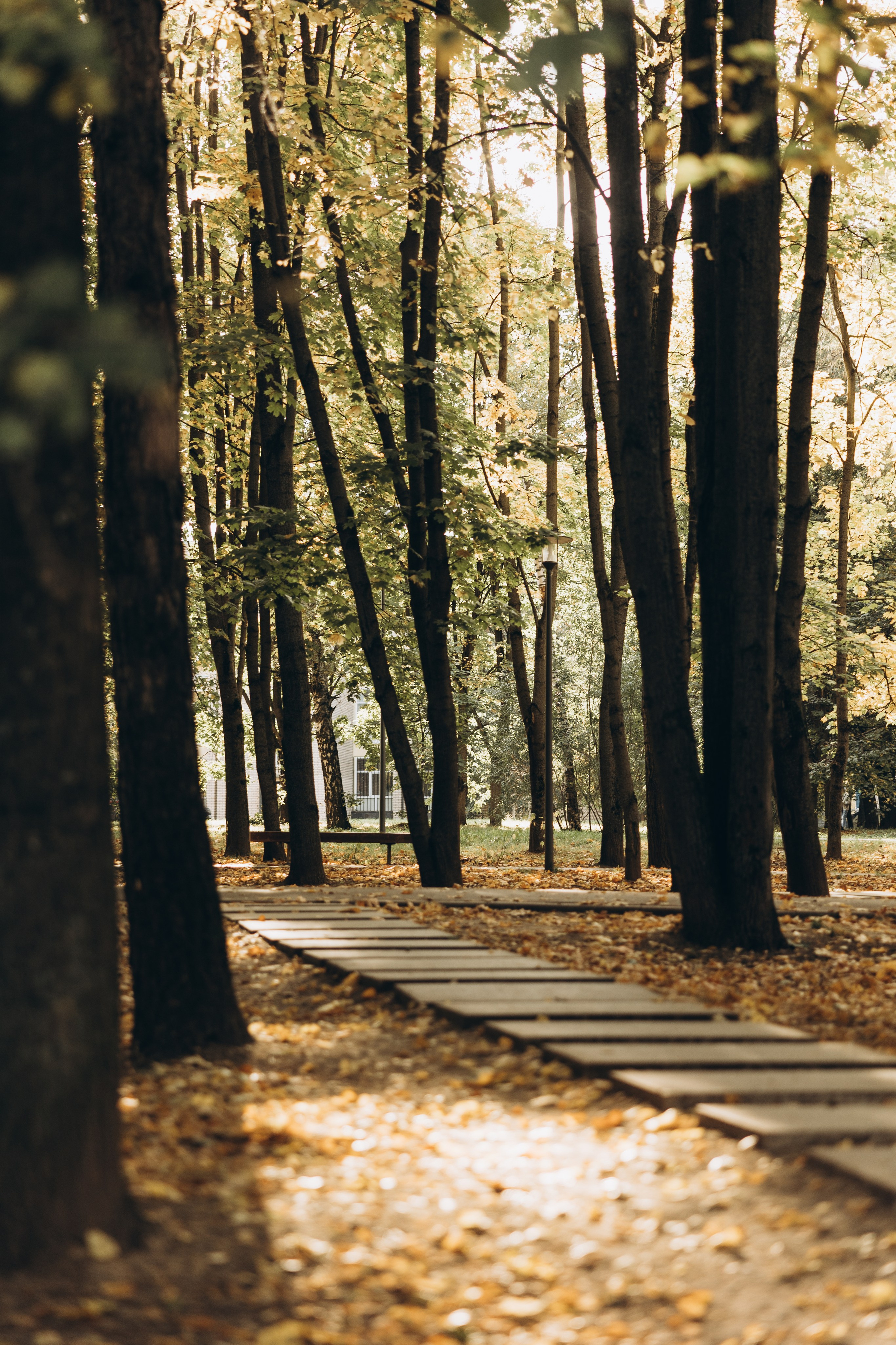 Оля. Семейный фотограф в Москве Виктория Ястребинская