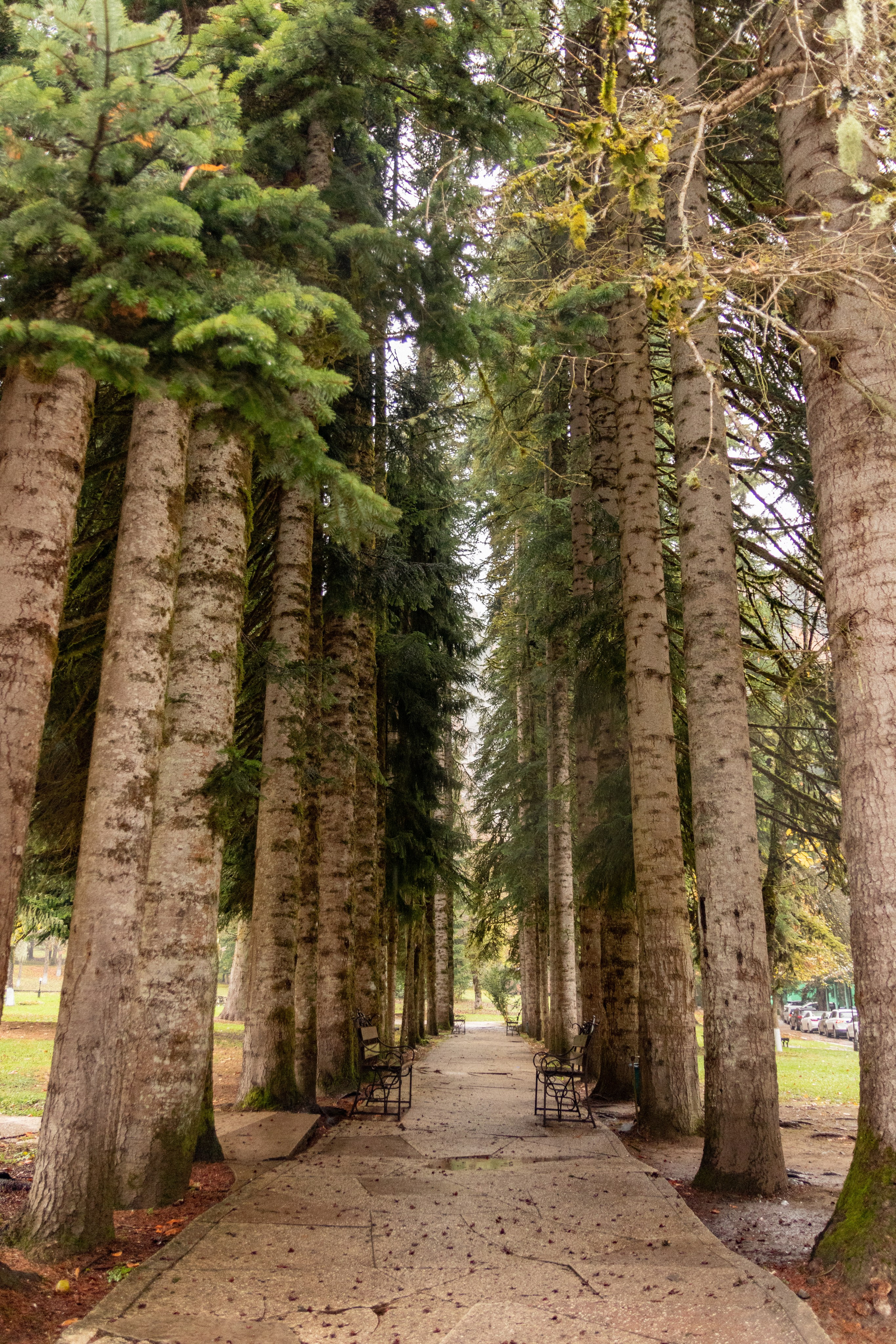 Абхазия. Фотограф Севастополь, Крым. Портретный и репортажный фотограф Коваленко Антонина