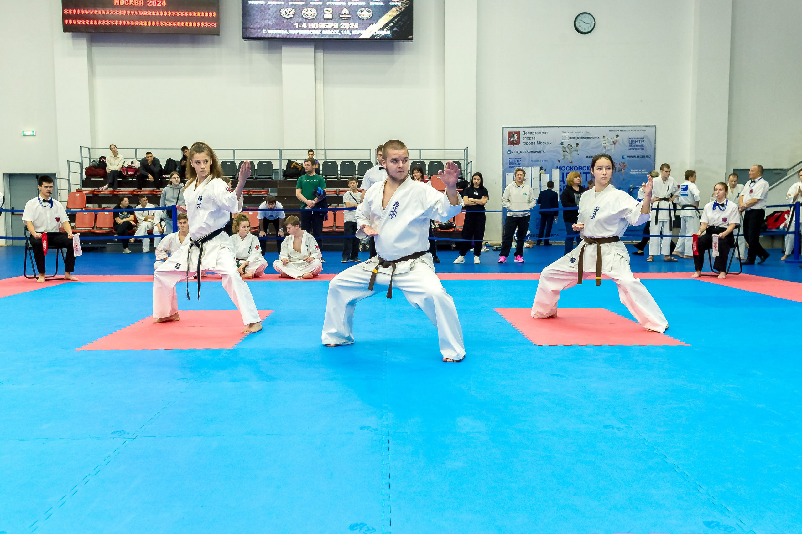Соревнования по Киокушин памяти С. Увицкого. Репортажная съемка в Москве и области. Анималистика