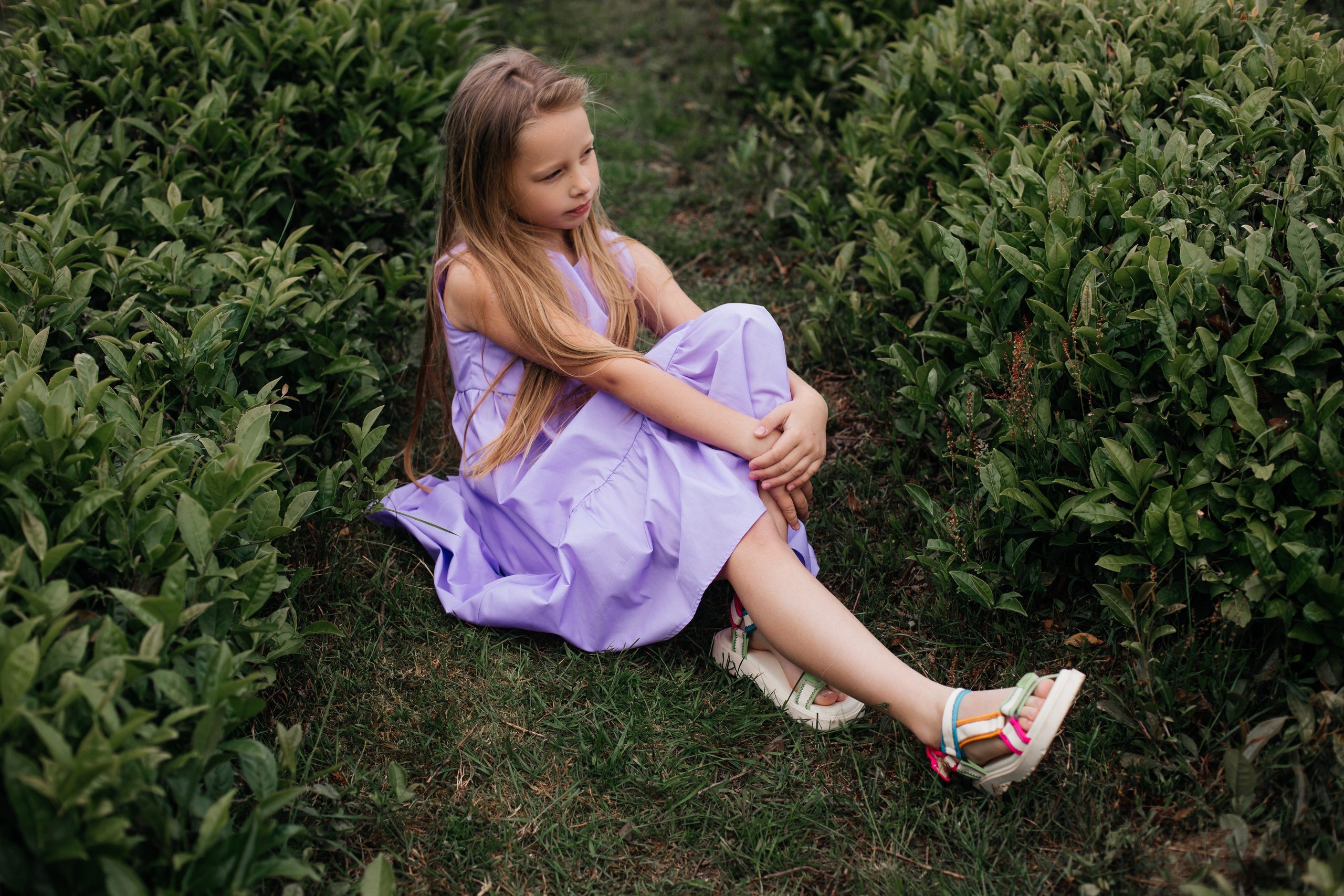 Tea plantation. Efimova Model Agency