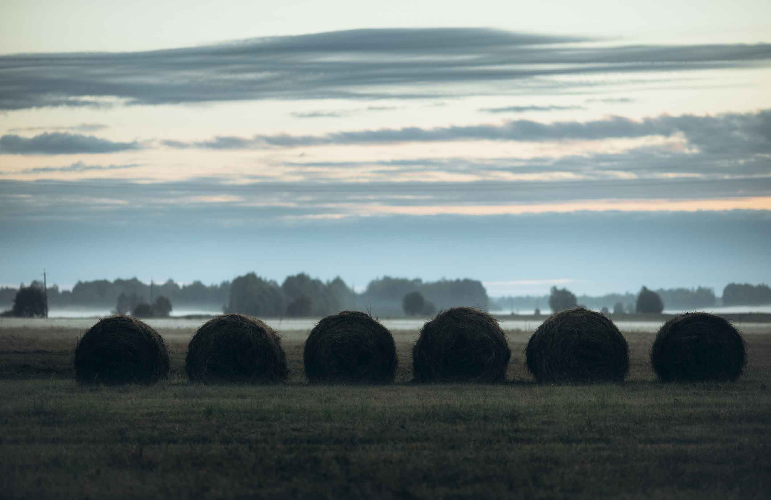 Природные пейзажи. Наталия Клевинскас портретный фотограф в Костроме