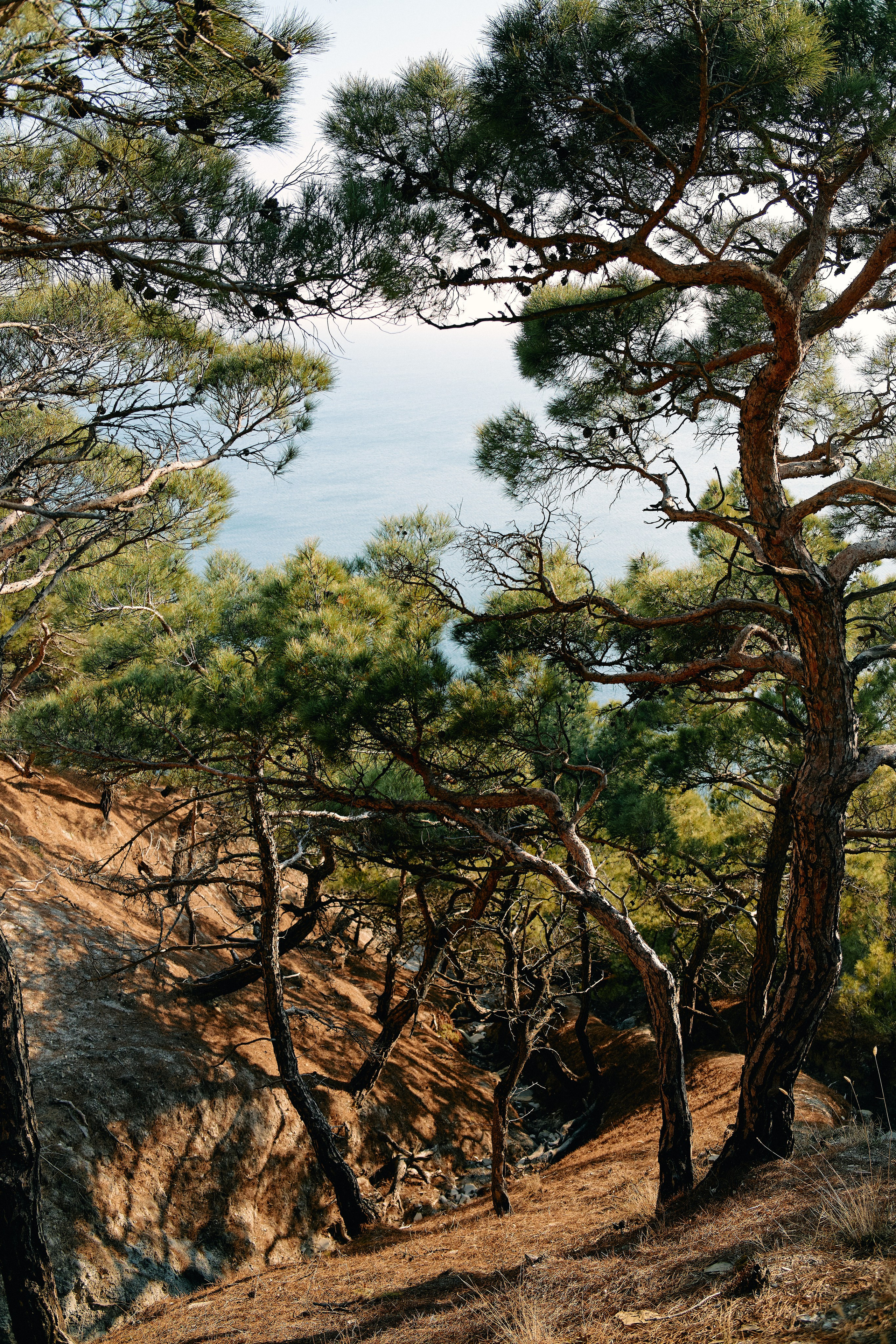 Юг России. Профессиональный Фотограф во Владимире, в Москве и в Суздале — Полина Романычева