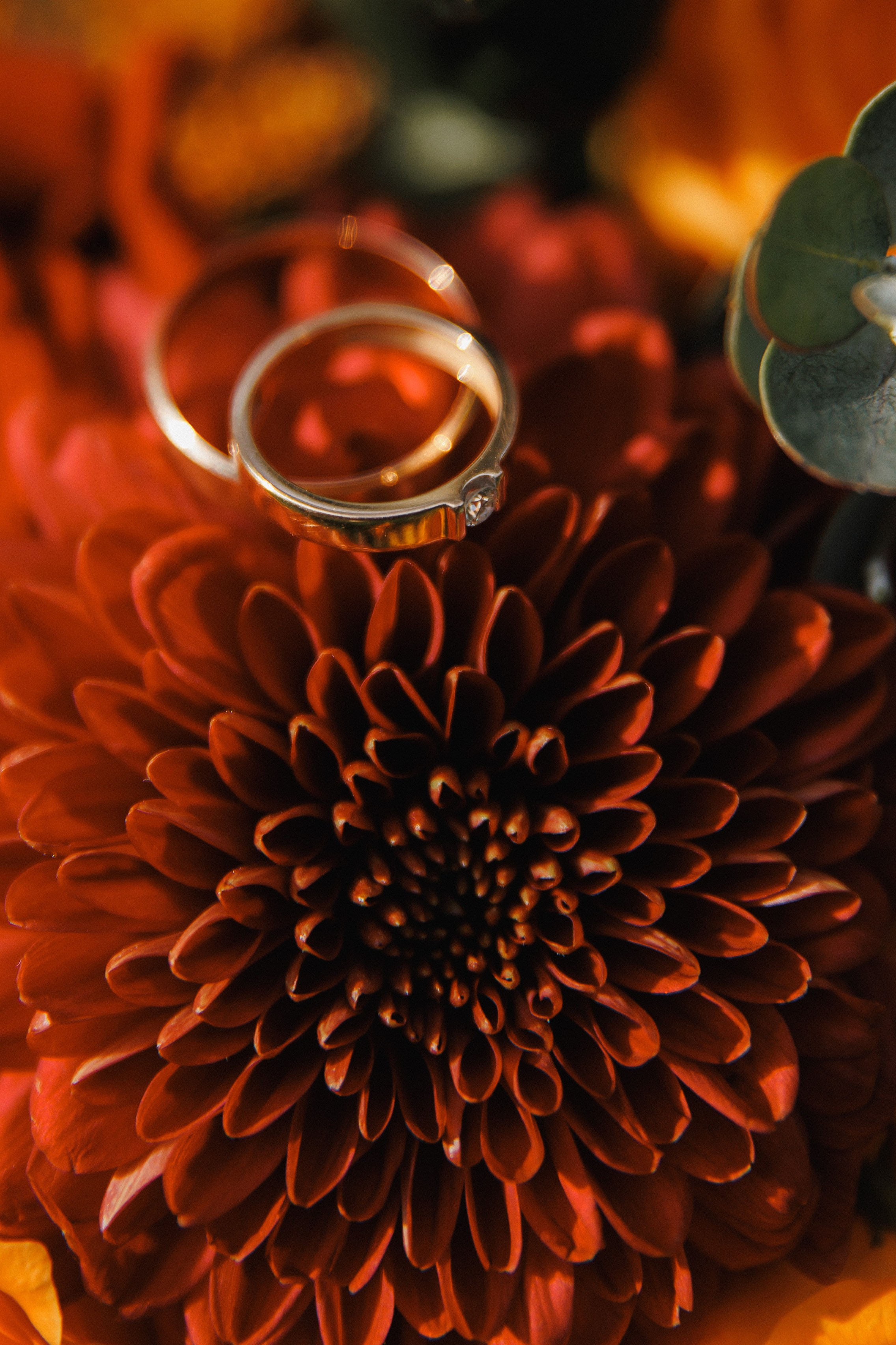 Оля и Кирилл. Свадебный и репортажный фотограф Евгений Петров