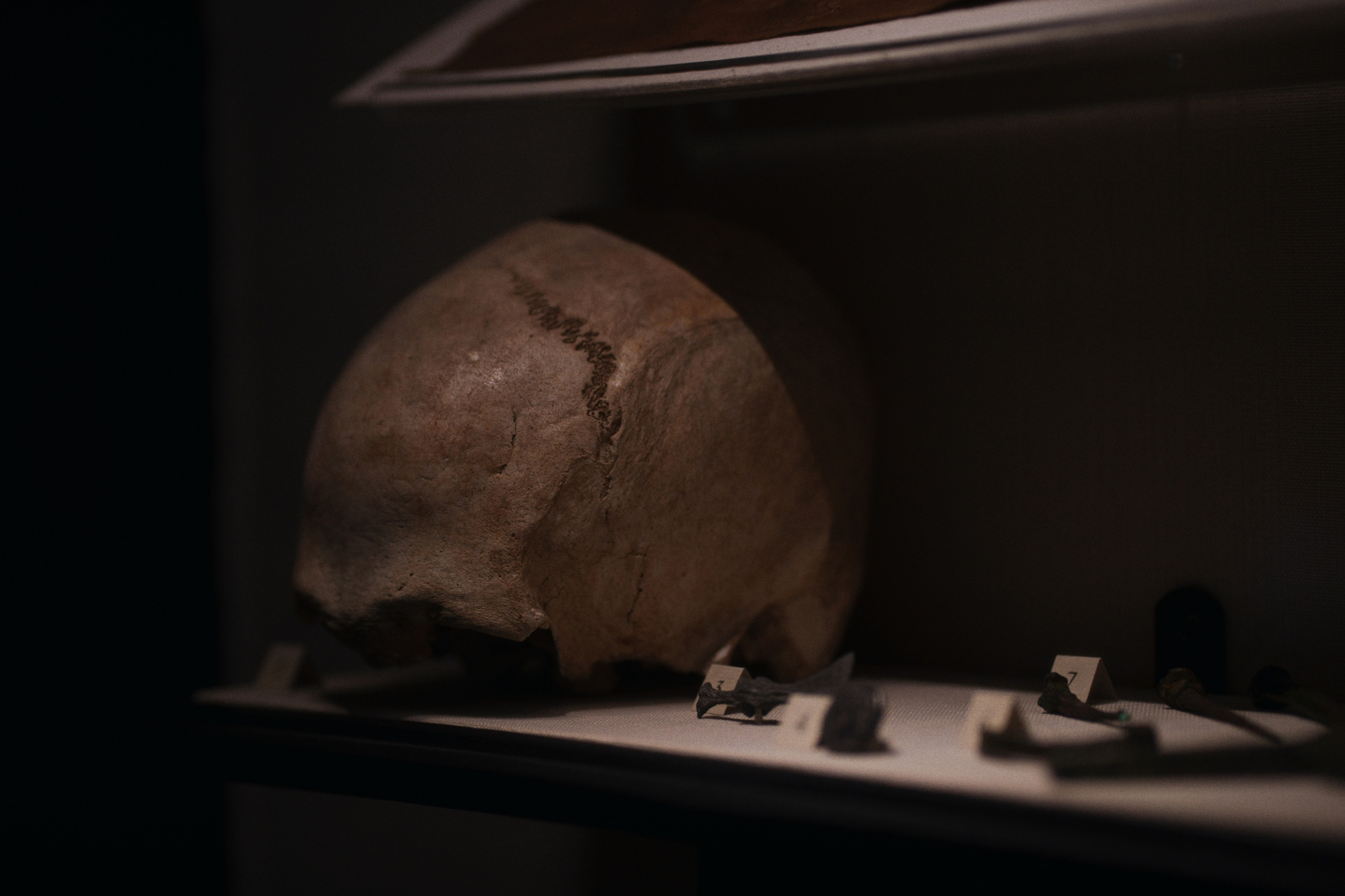 Archaeological Museum / Istanbul, Türkey SS25. Фотограф Юрин Евгений