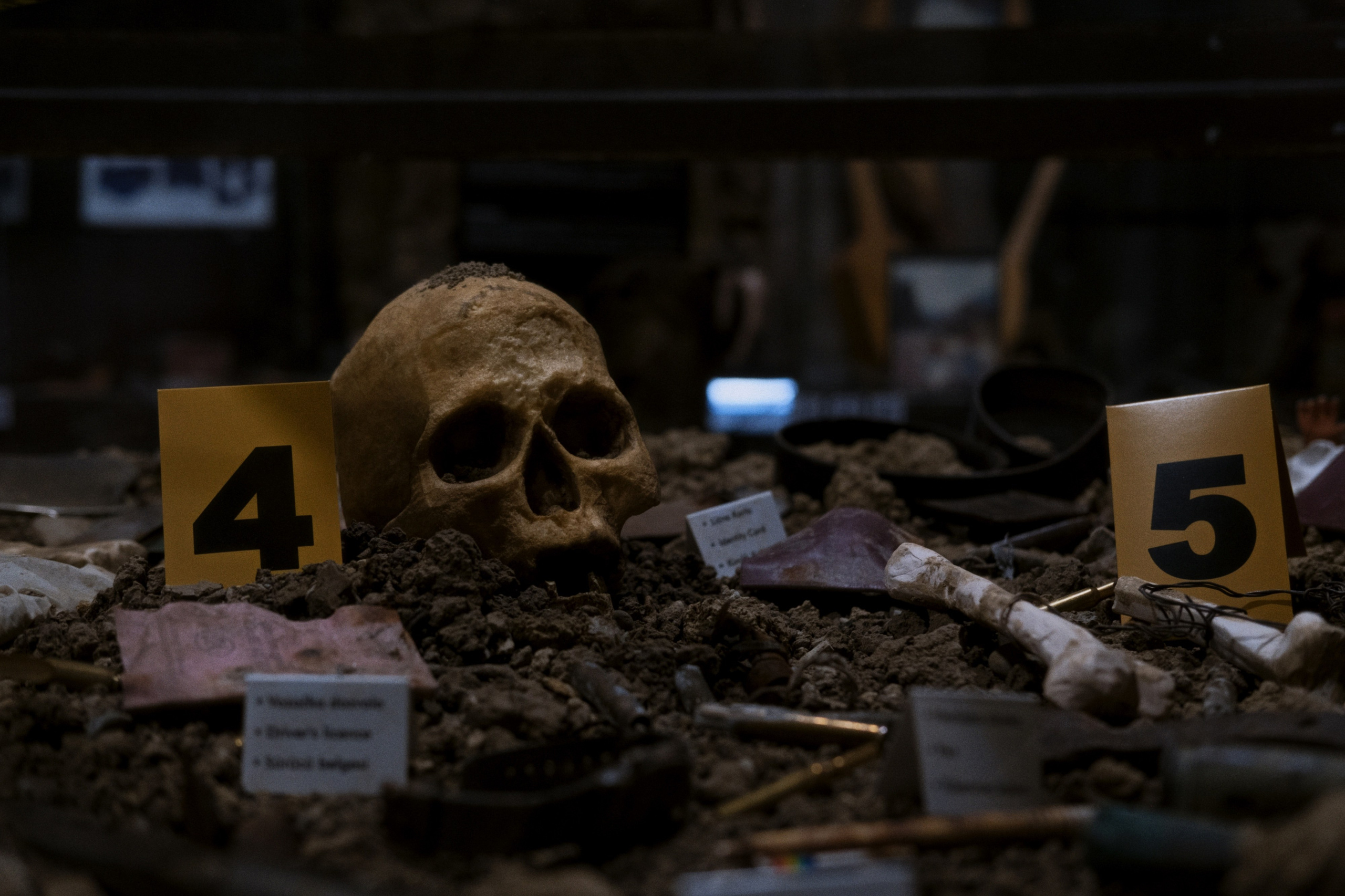 Museum of crimes against humanity and genocide / Sarajevo, Bosnia and Herzegovina AW26. Фотограф Юрин Евгений