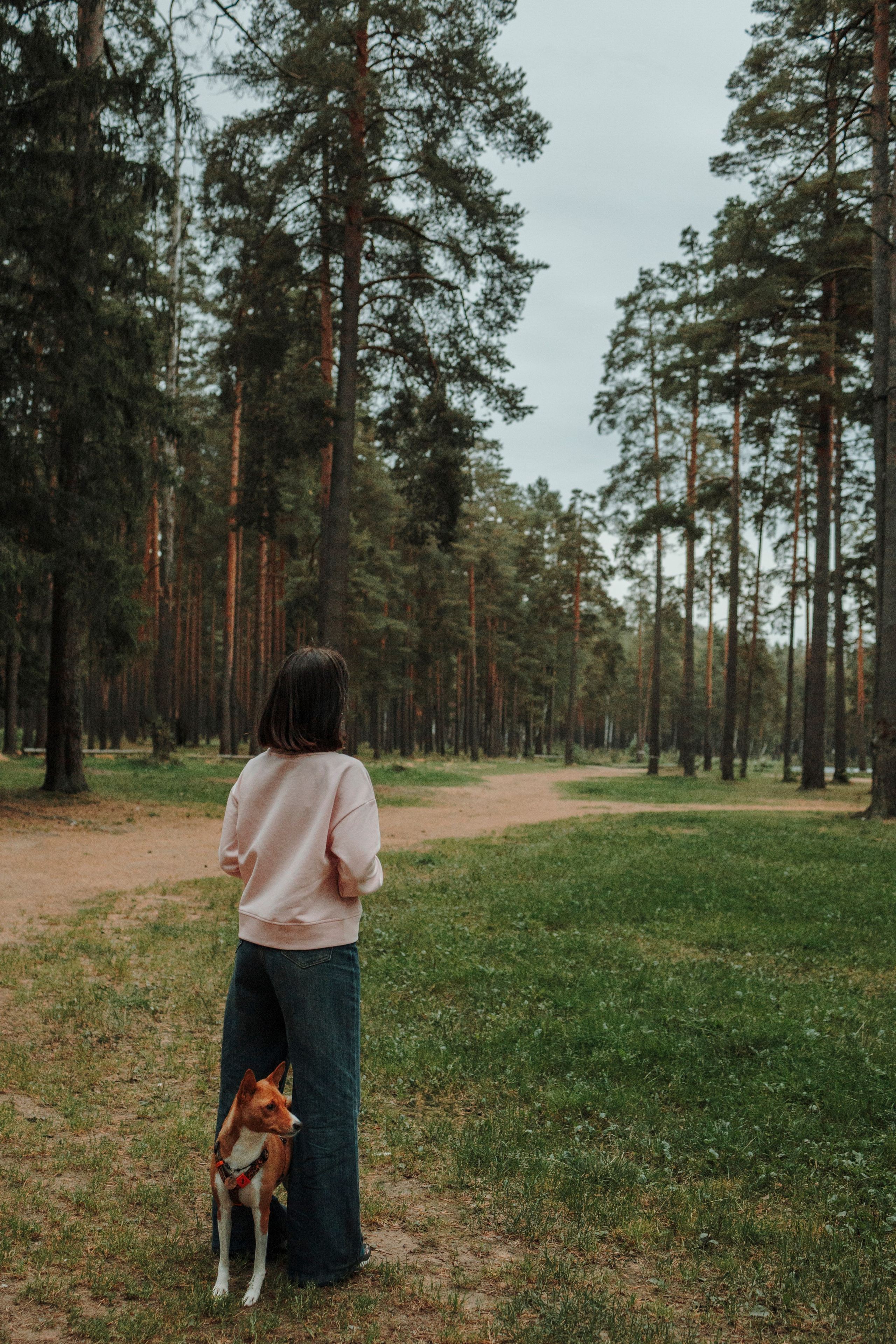 Даша и Лора. Фотограф-анималист в Санкт-Петеребурге Титова Алиса