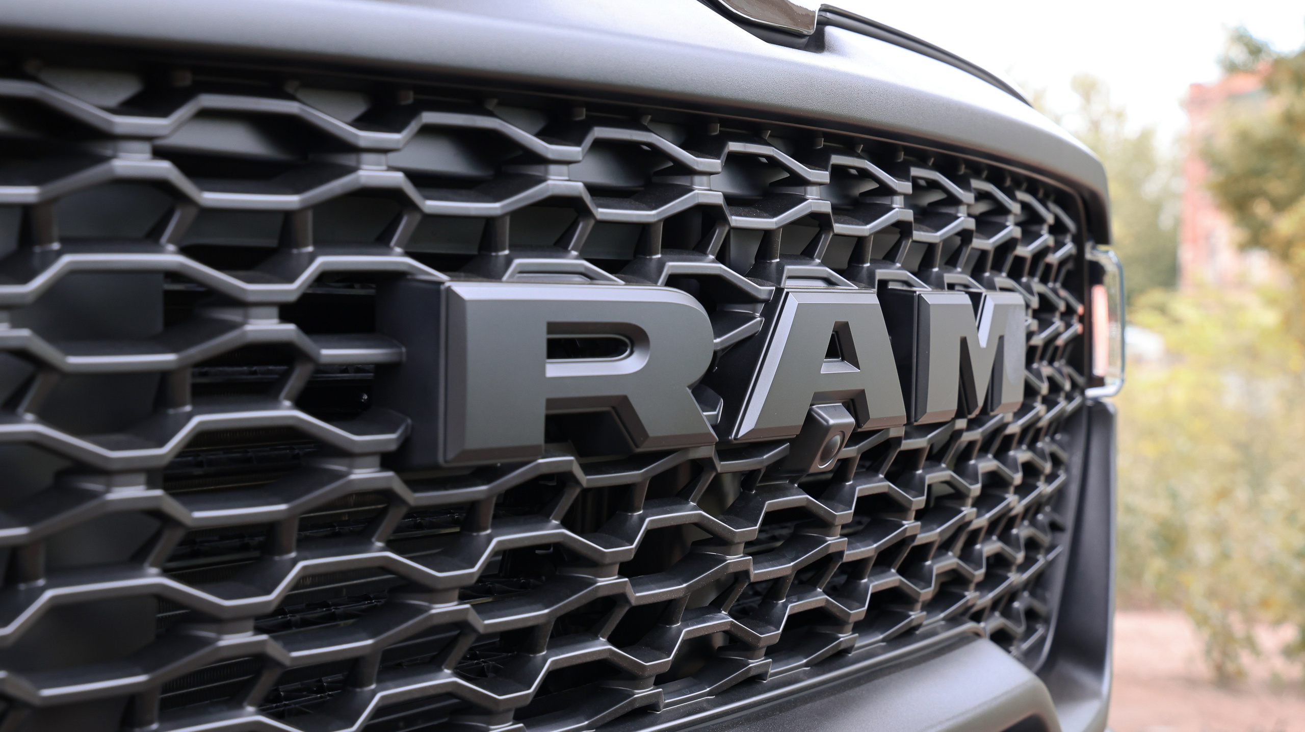 RAM REBEL. NK