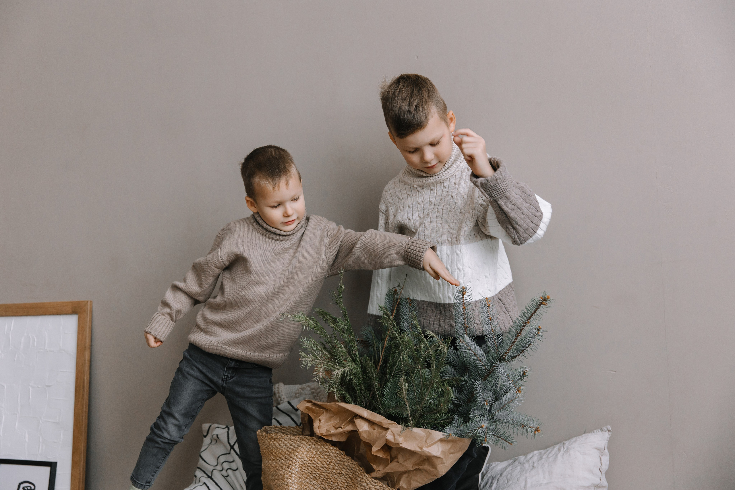 Вероника и Ко. Фотограф Елена Краснопевцева