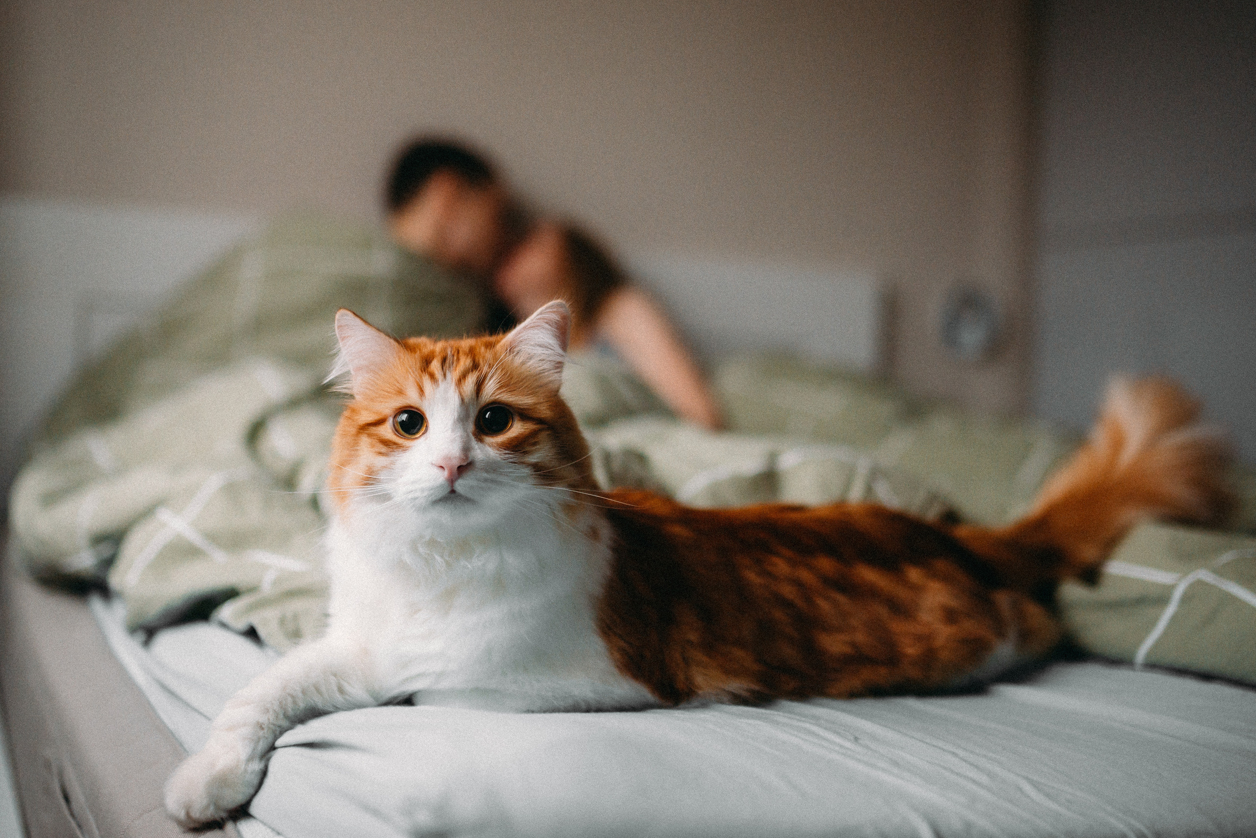 Фотосессия беременности дома СПб. Семейный и детский фотограф в Санкт-Петербурге Маша Бичан