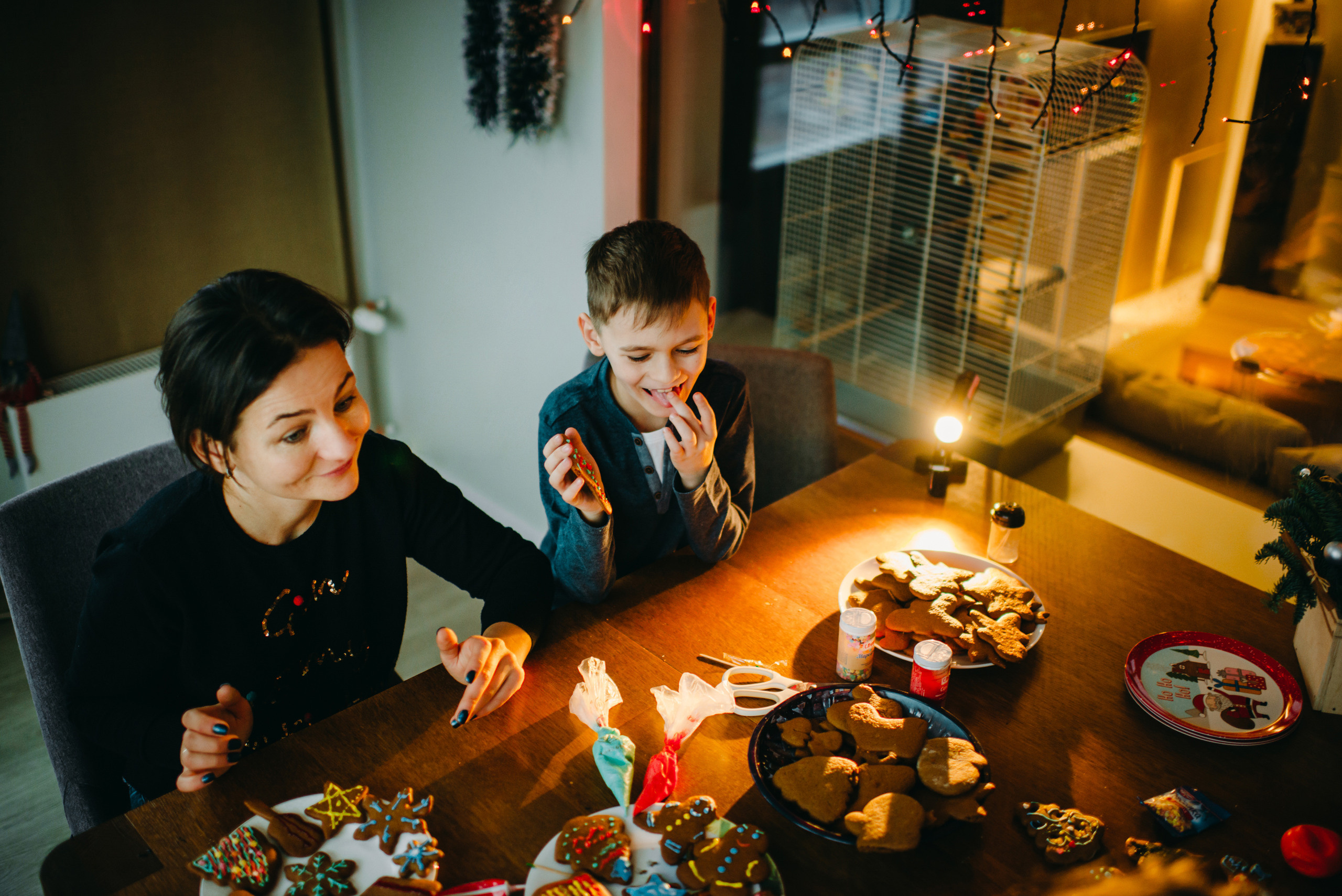 Новогодняя домашняя фотосессия