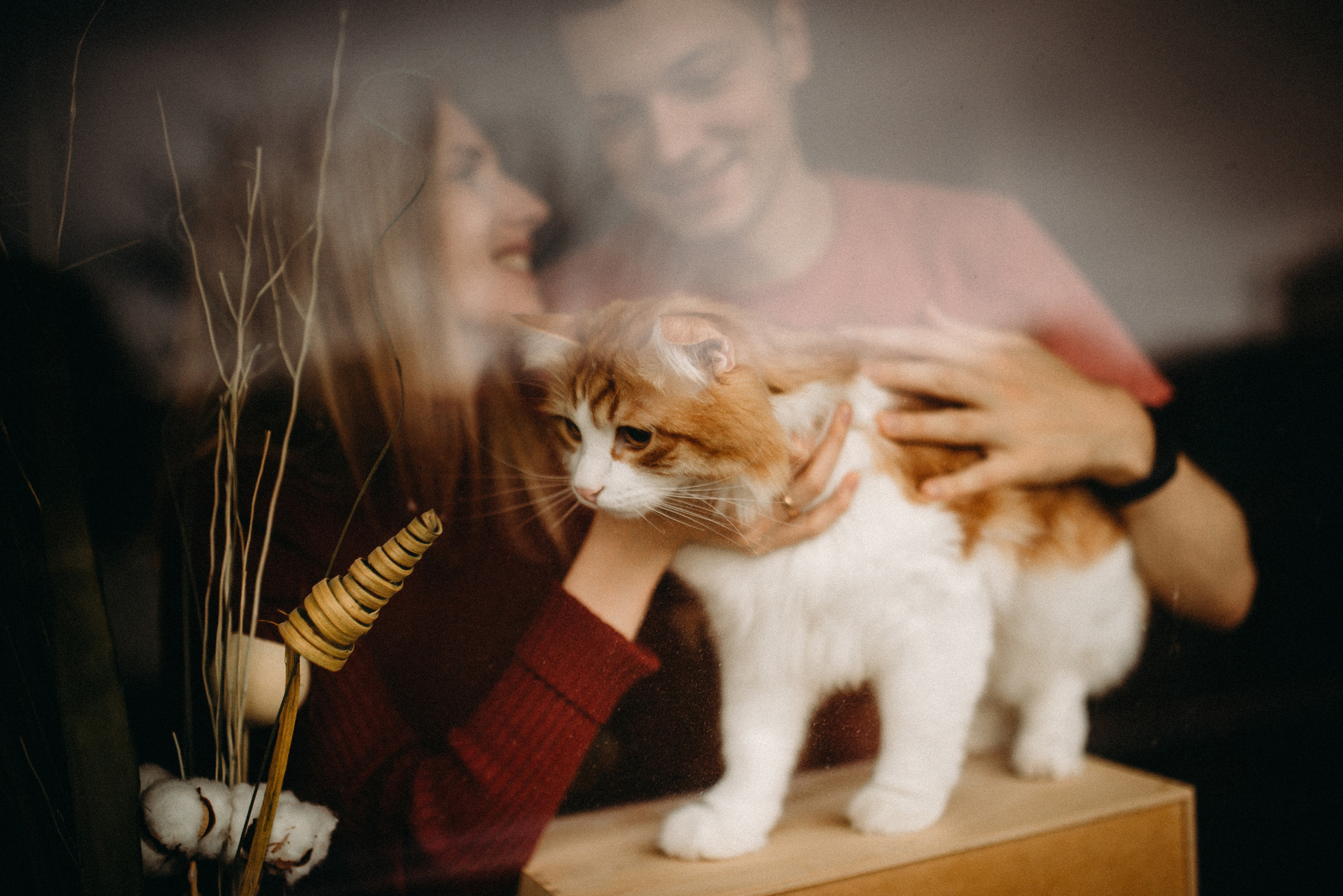 Фотосессия беременности дома СПб. Семейный и детский фотограф в Санкт-Петербурге Маша Бичан