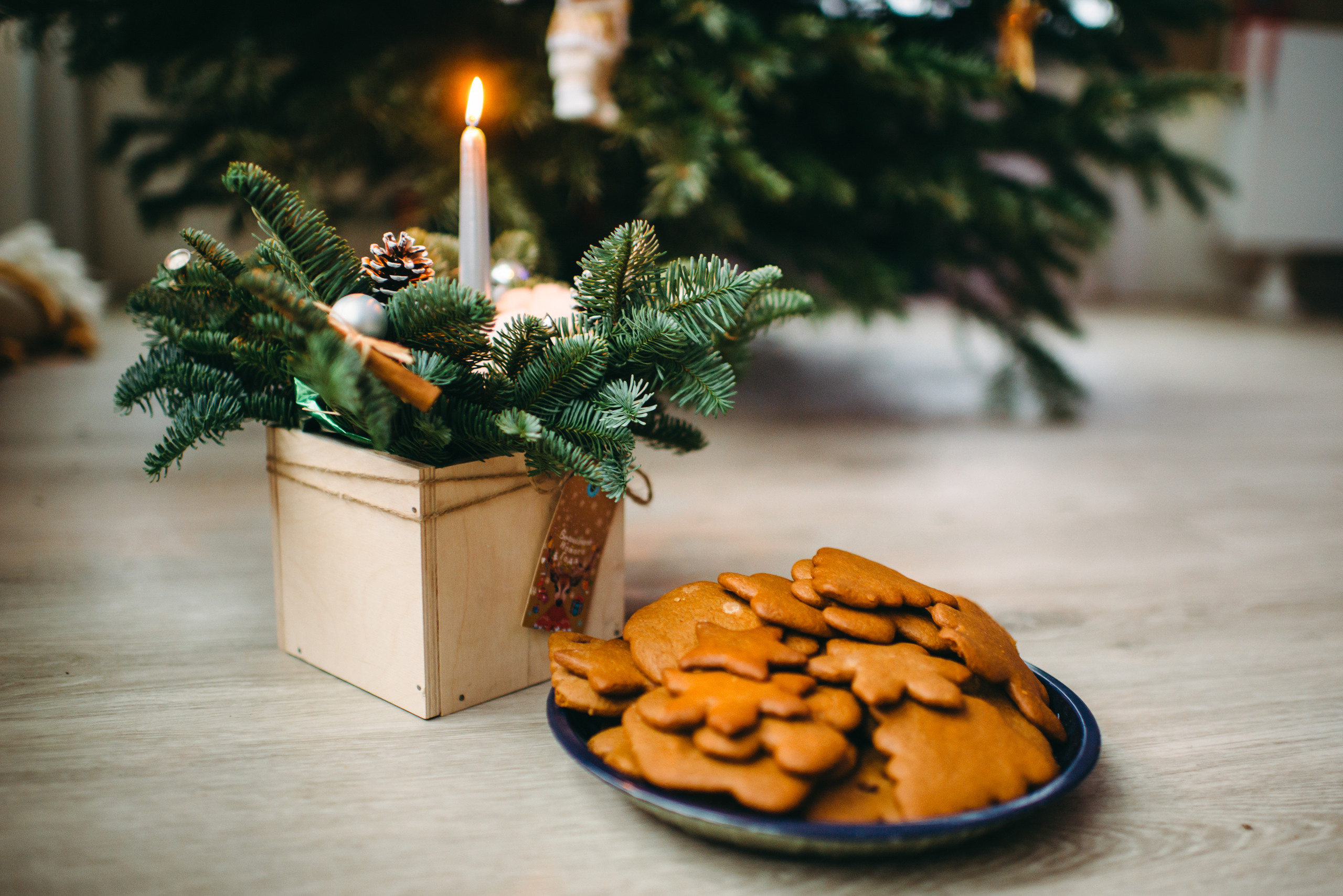 Новогодняя семейная фотосессия дома. Семейный и детский фотограф в Санкт-Петербурге Маша Бичан