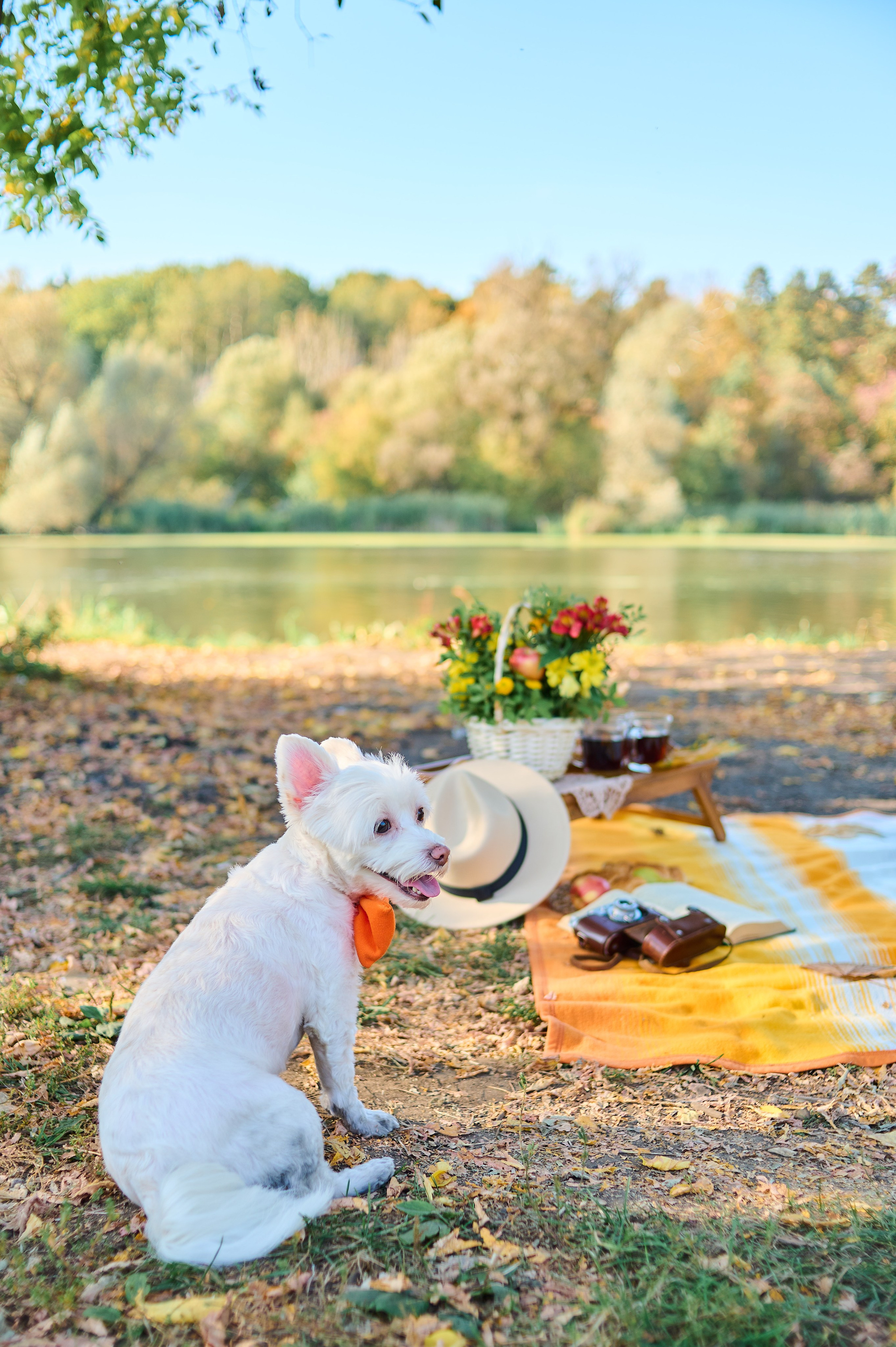 Осенняя история. Семейный и детский фотограф в г. Ногинске Ангелина Хасанова