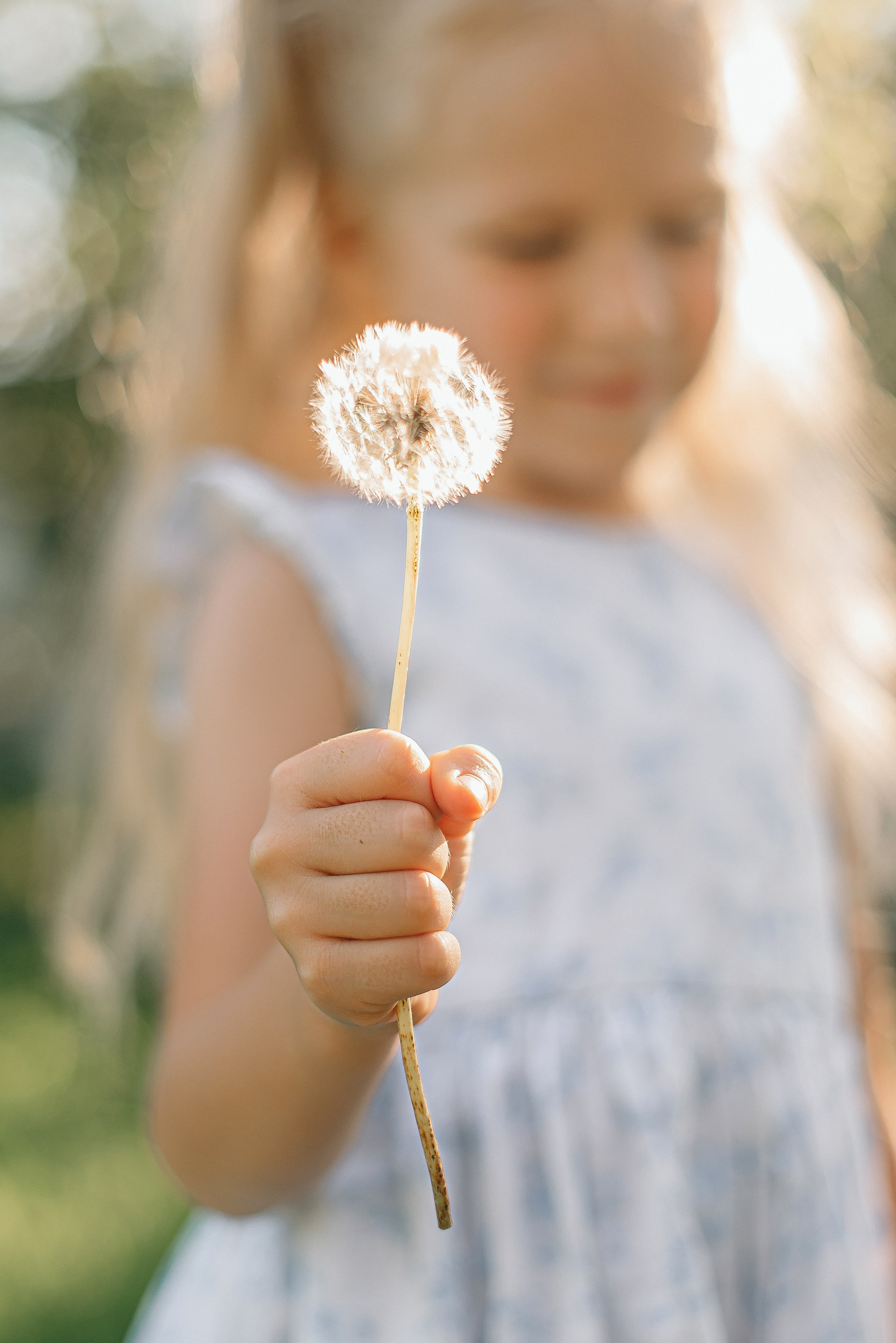 Семейная фотосессия на природе. Семейный и детский фотограф в Обнинске, Калуге, Москве