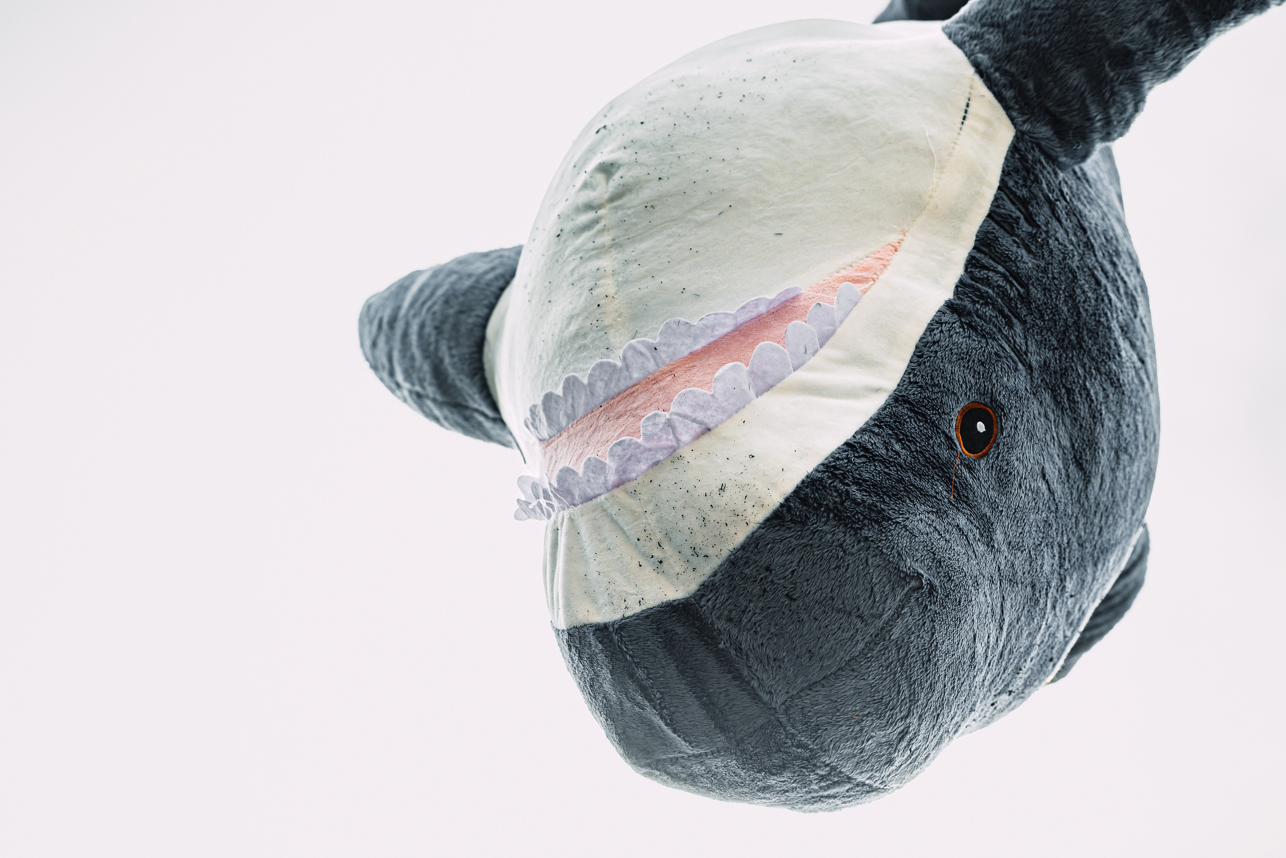 Stock Clock. Open Season