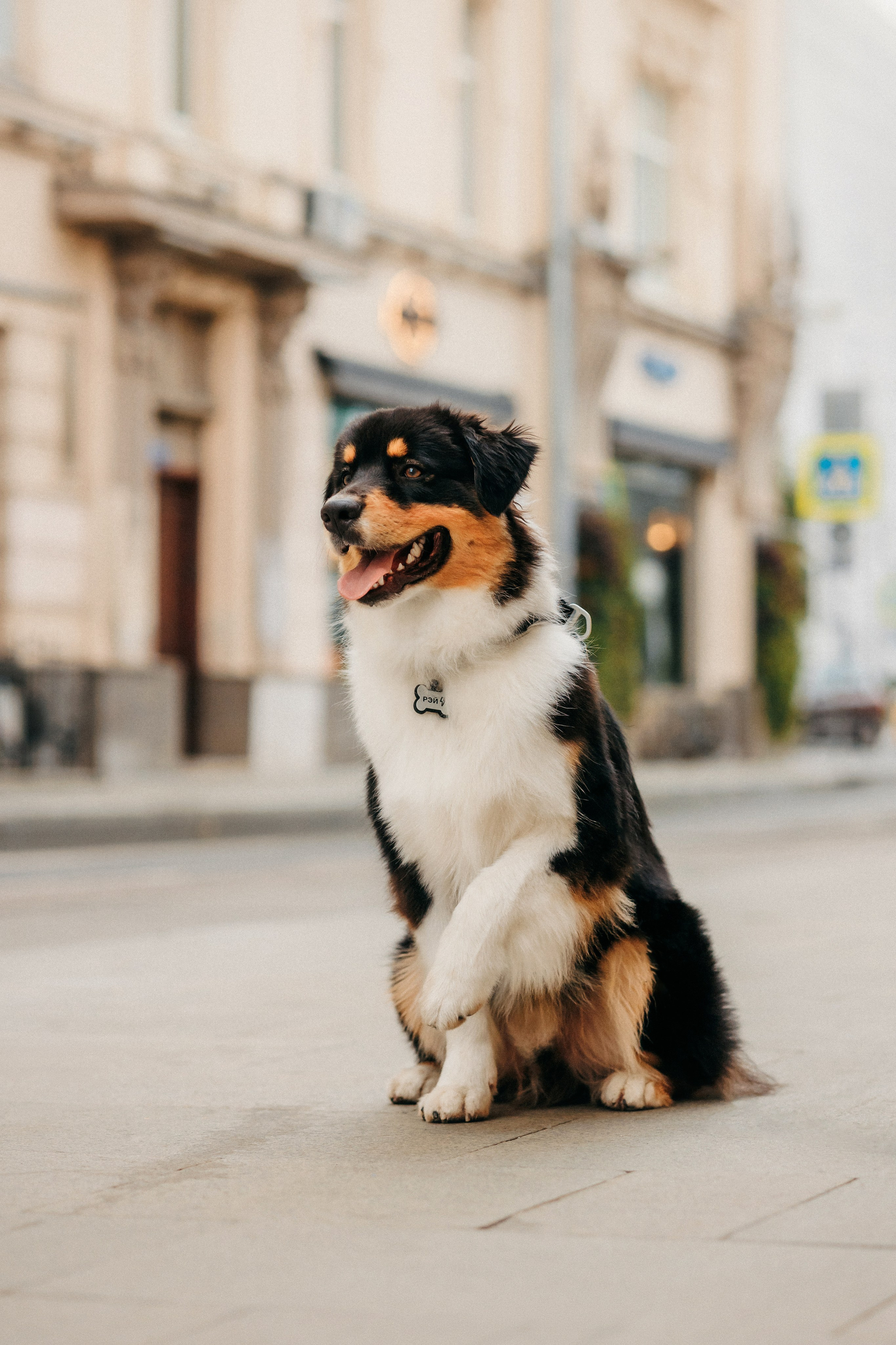 Лена и Рэй. Фотограф-анималист Елена Радченко, Москва