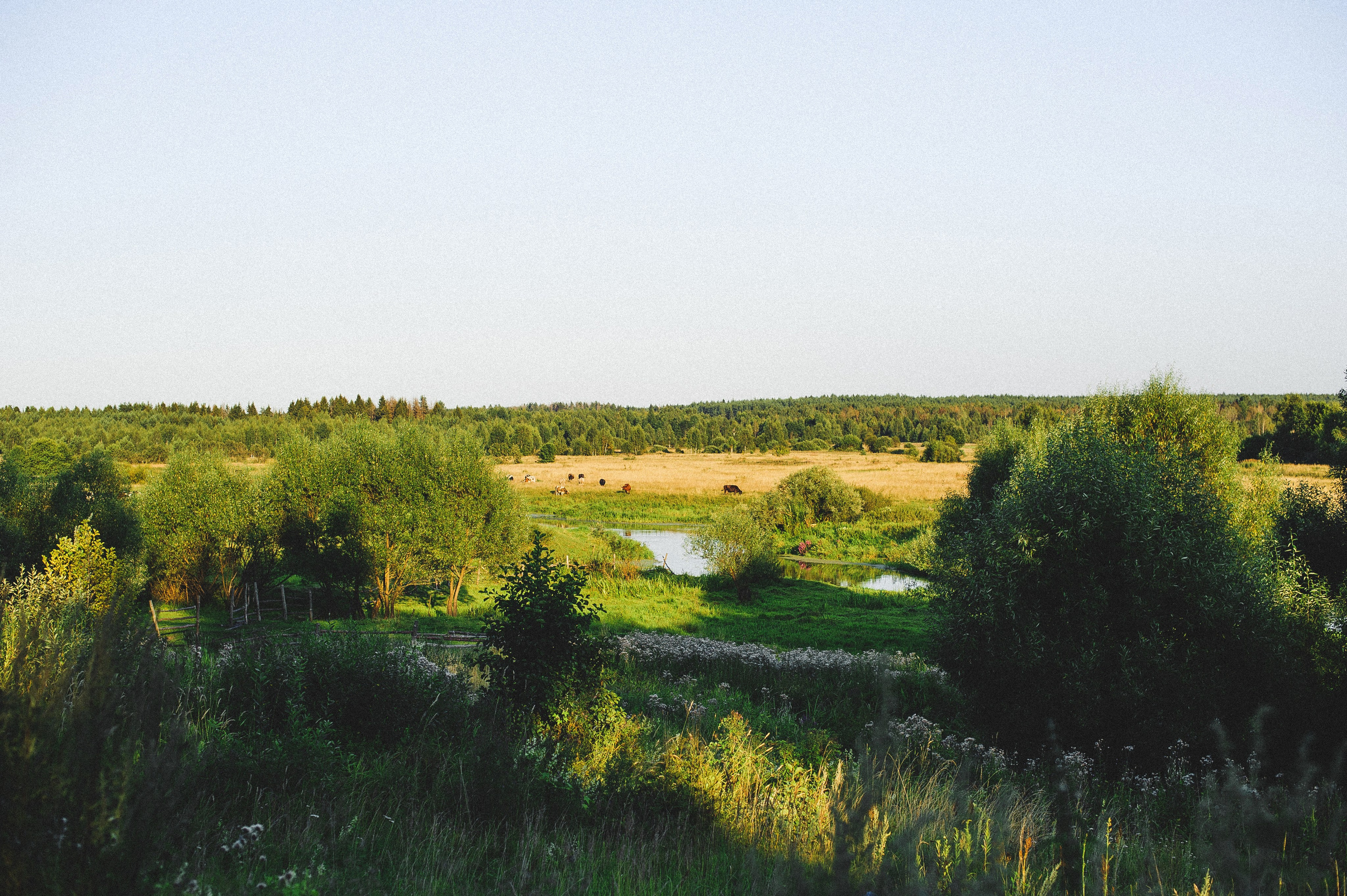 ЛЕТО в ДЕРЕВНЕ. Свадебный и семейный фотограф РИТА БОЧКАРЁВА