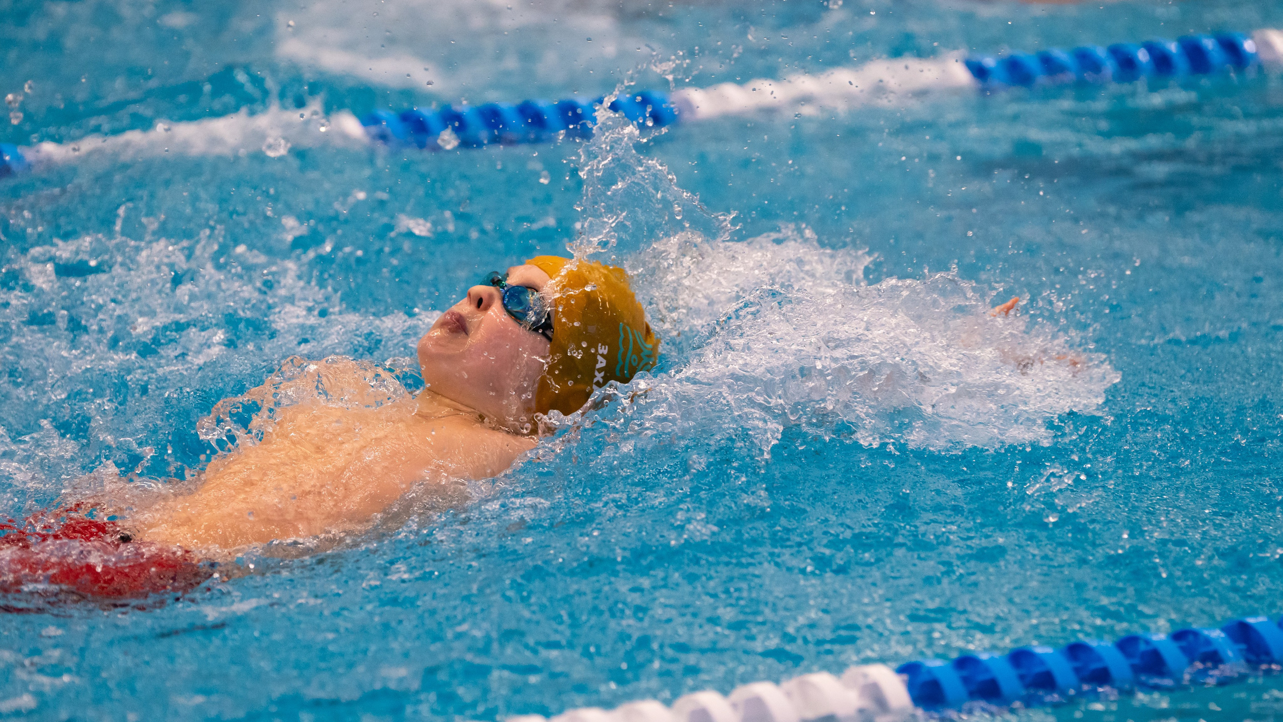 Открытый новогодний турнир по плаванию «Сила воды», 2025. Фотограф и видеооператор Екатерина Гнатюк