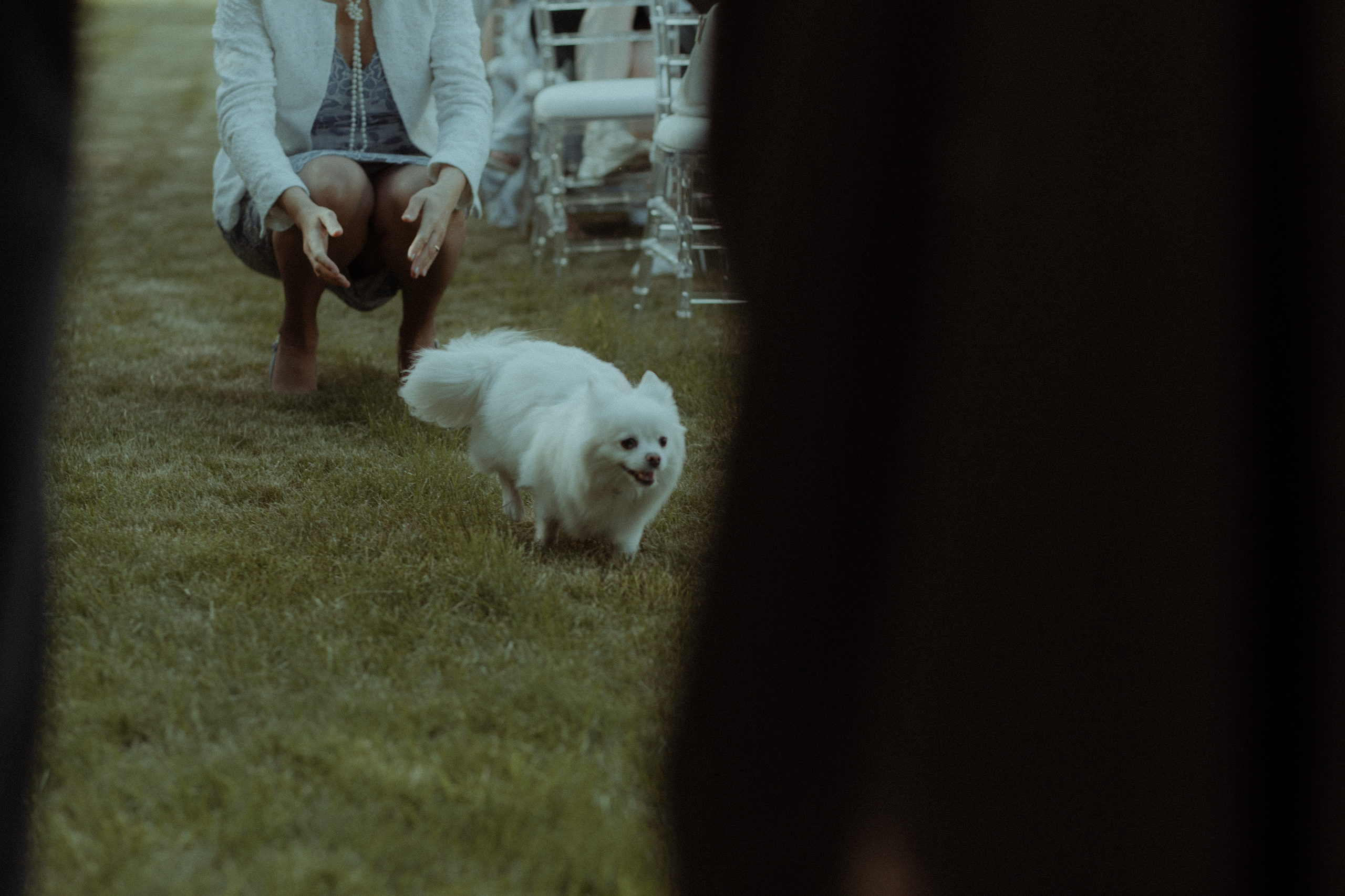 Диана & Андрей. Свадебный фотограф Артак Костанян