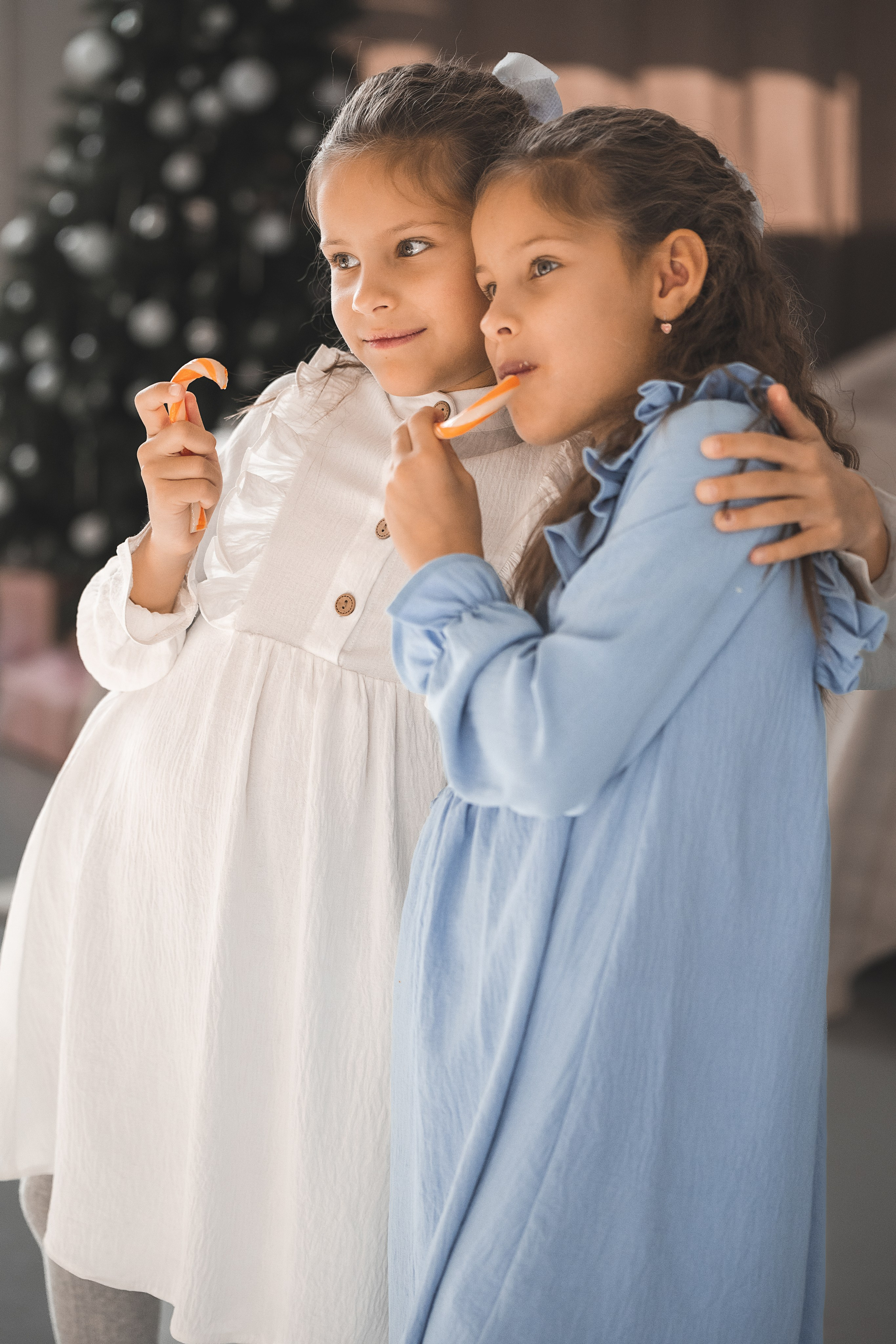 Новогоднее Близняшки. Фотограф г. Хабаровск