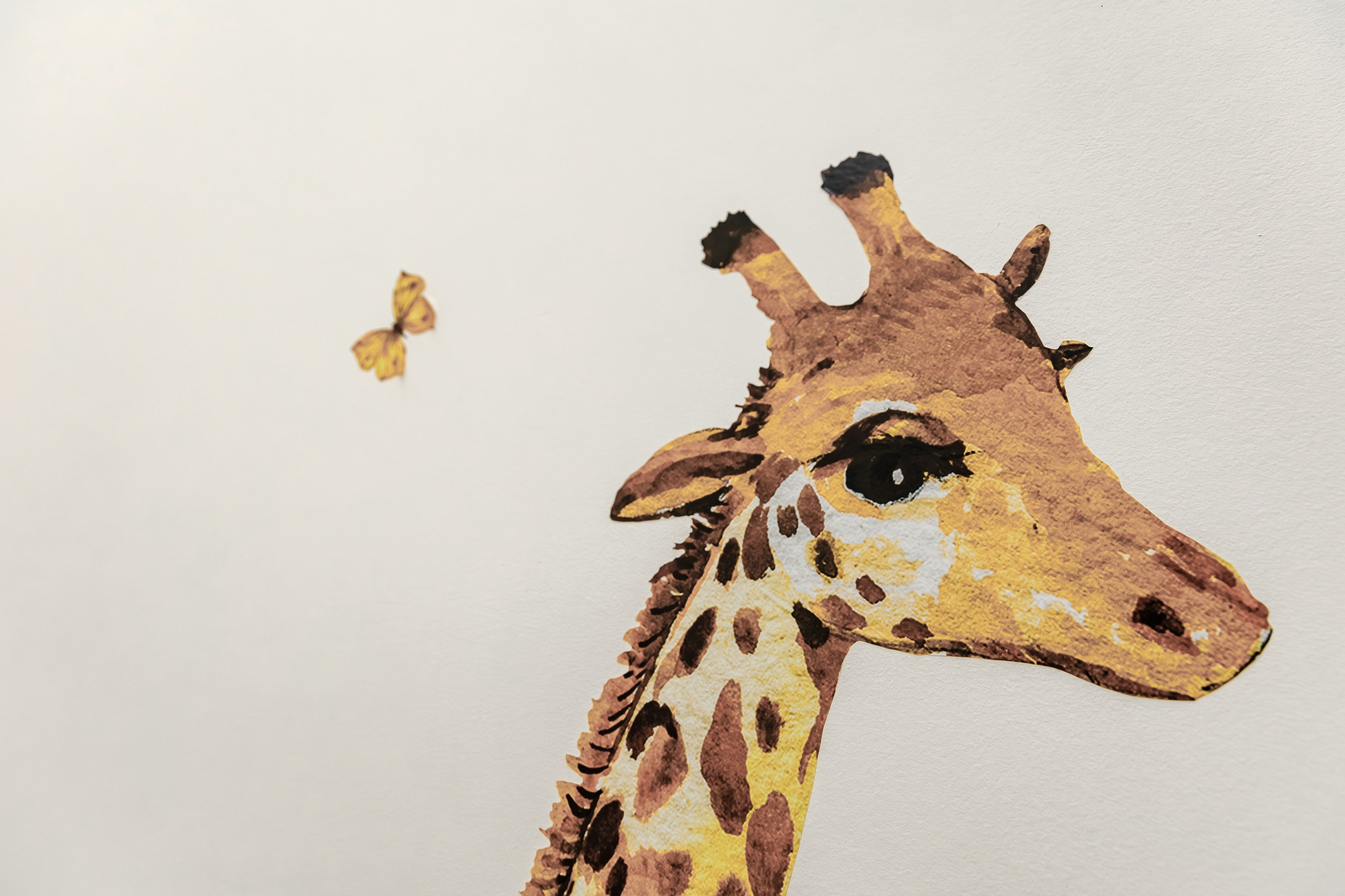 HELIX. Репортажный фотограф в Санкт-Петербурге Жолудев Владислав