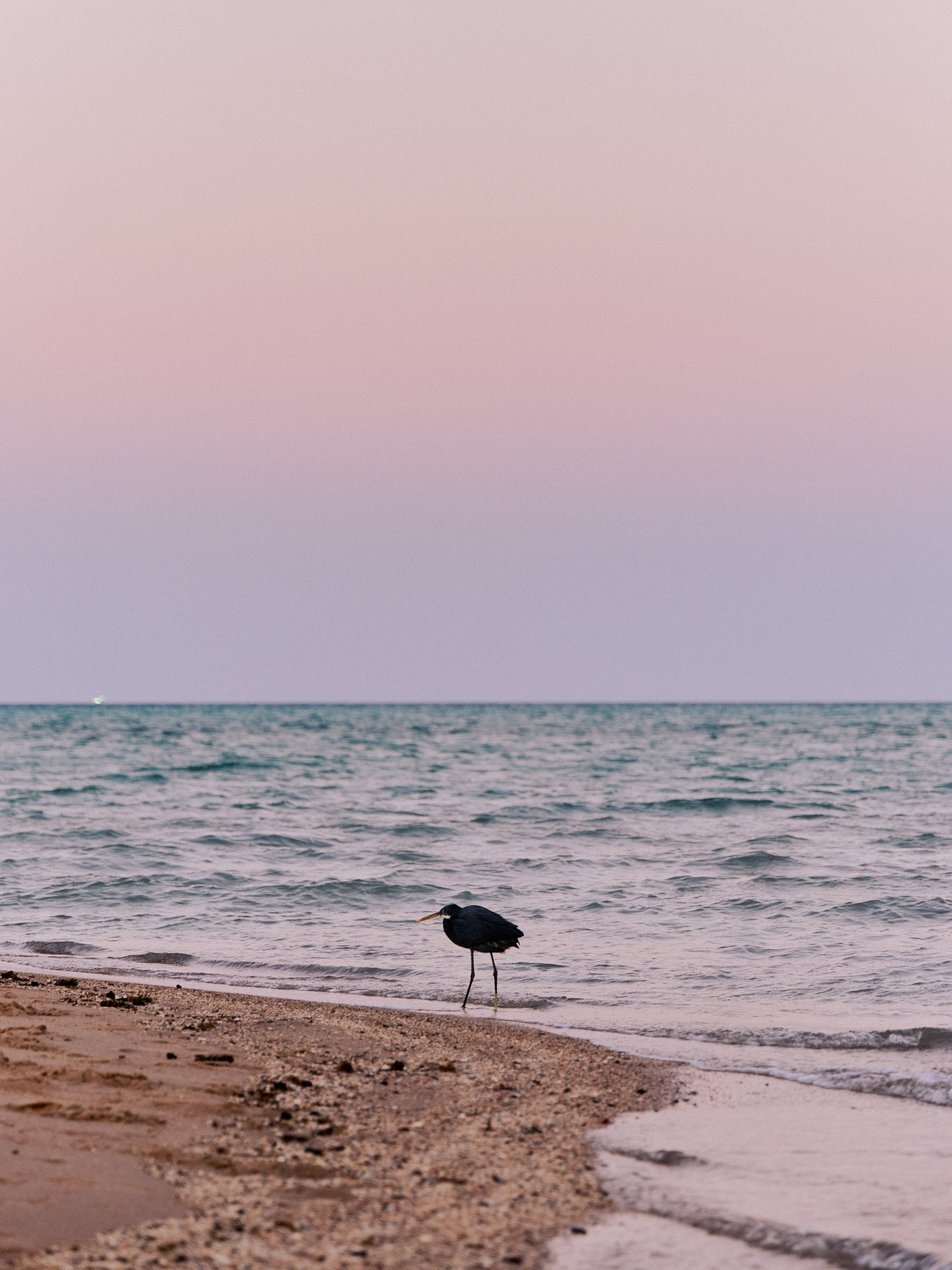 Другое 3. Jorgis — фотограф в Хургаде / обучение фотографии