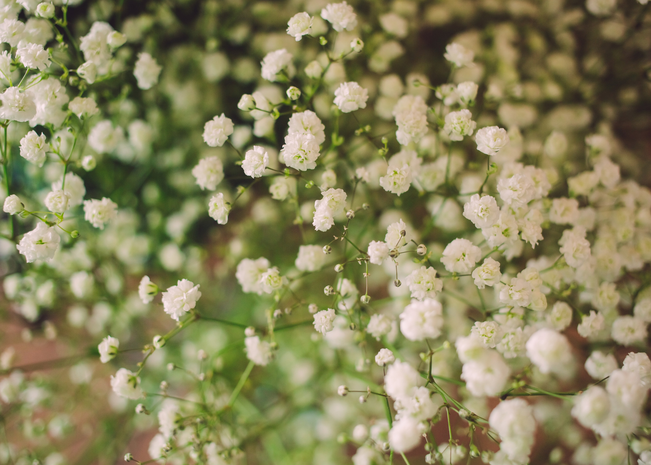 Артем и Ника. Фотограф Зеленоград, Москва