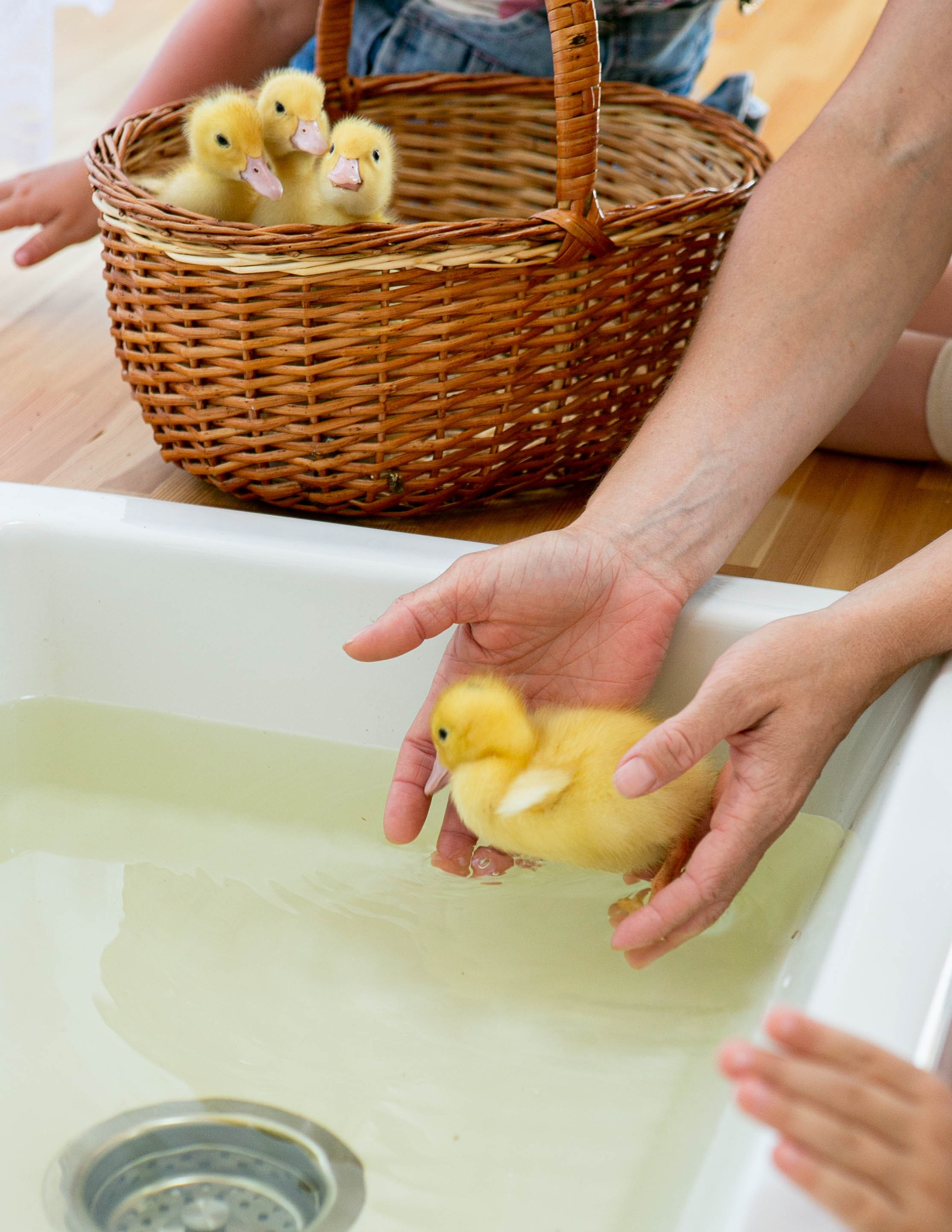 Ю и М. Семейный и детский фотограф в СПБ, Пушкин, Колпино, Славянка, Тосно