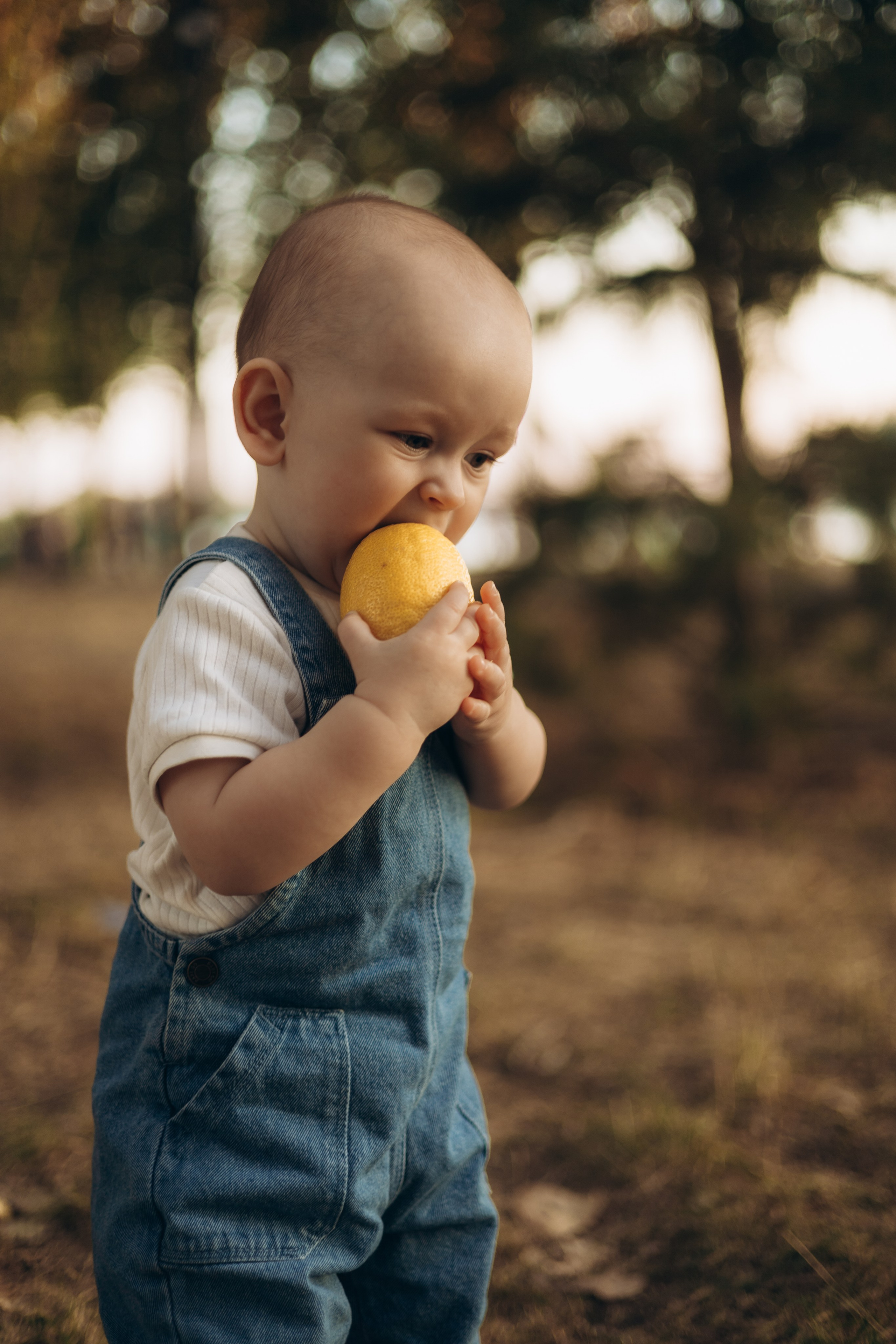 Моте годик. Самый теплый фотограф в Краснодаре Рябоконь Ксения