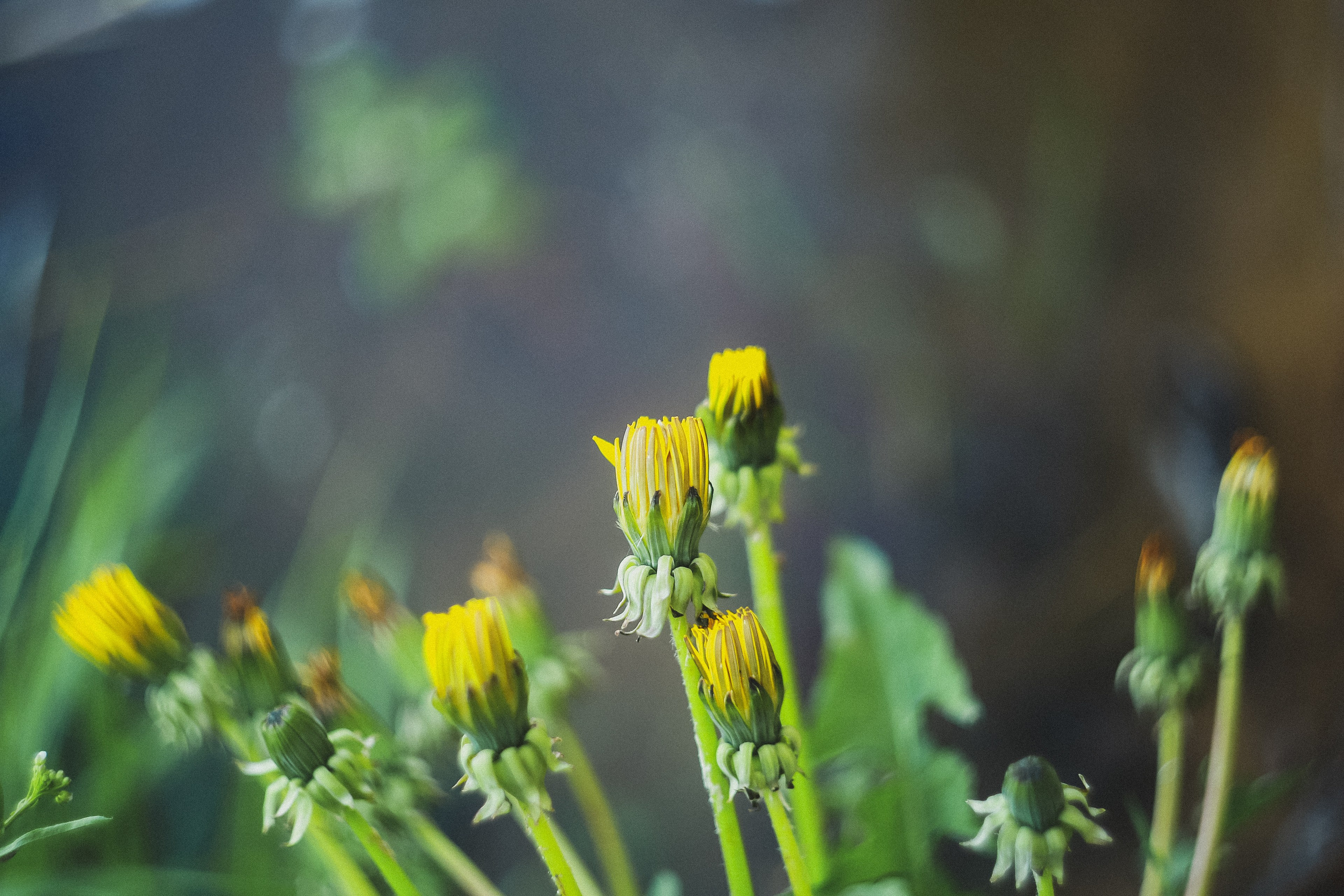 Магия обыкновенного. Фотограф-документалист и фототерапевт Настя Китаева. Город Москва