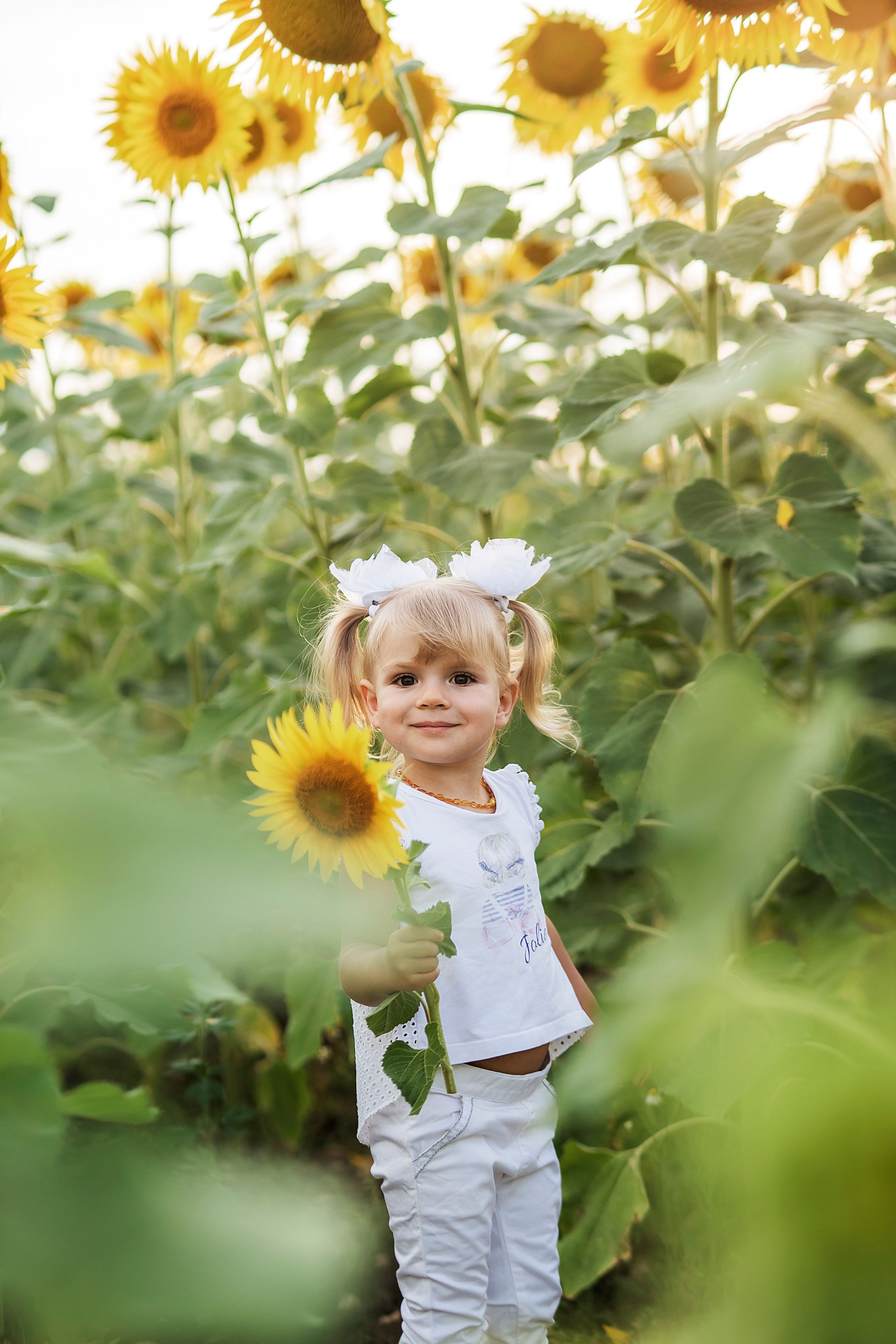 Лето. Семейный фотограф в Саратове